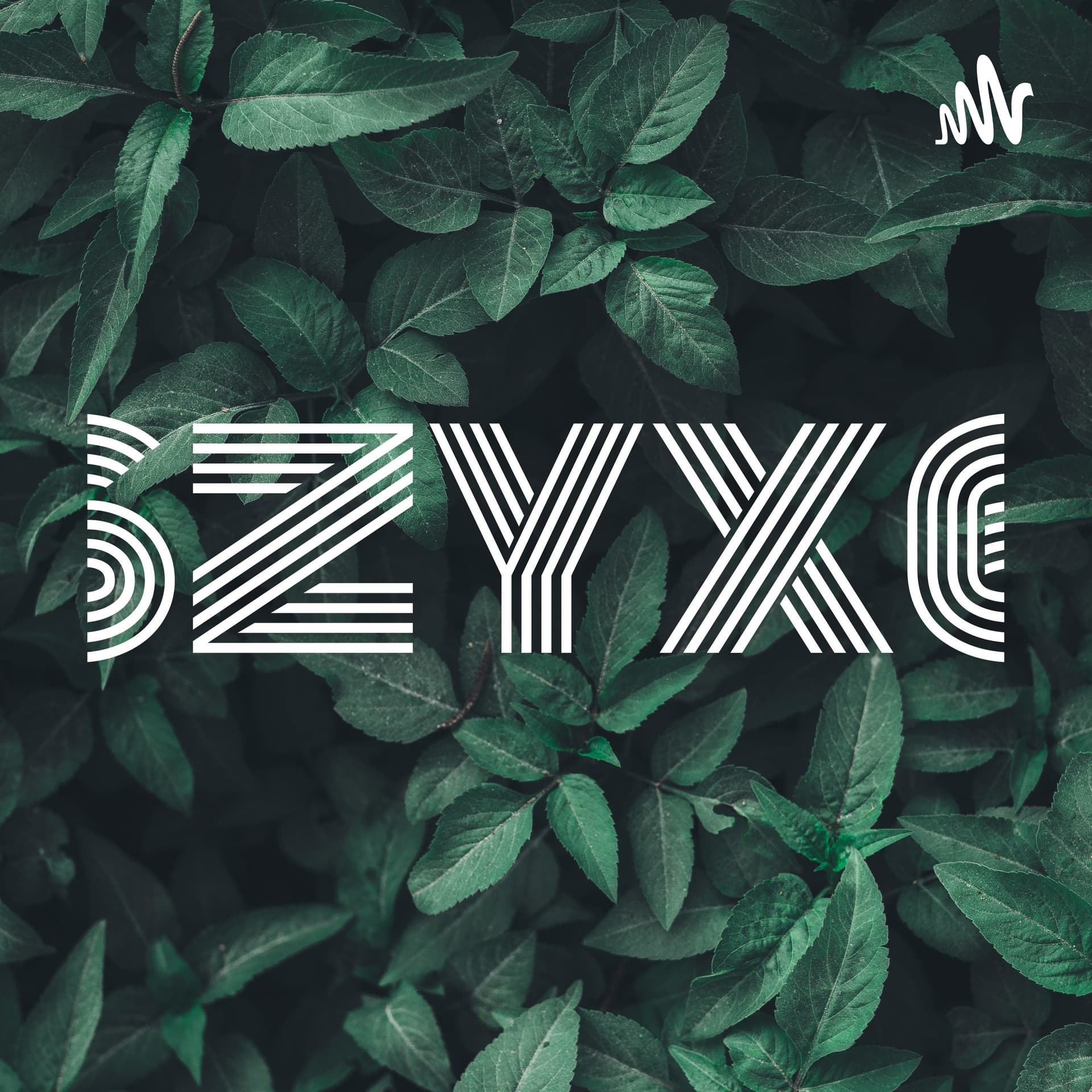 6ZYX6