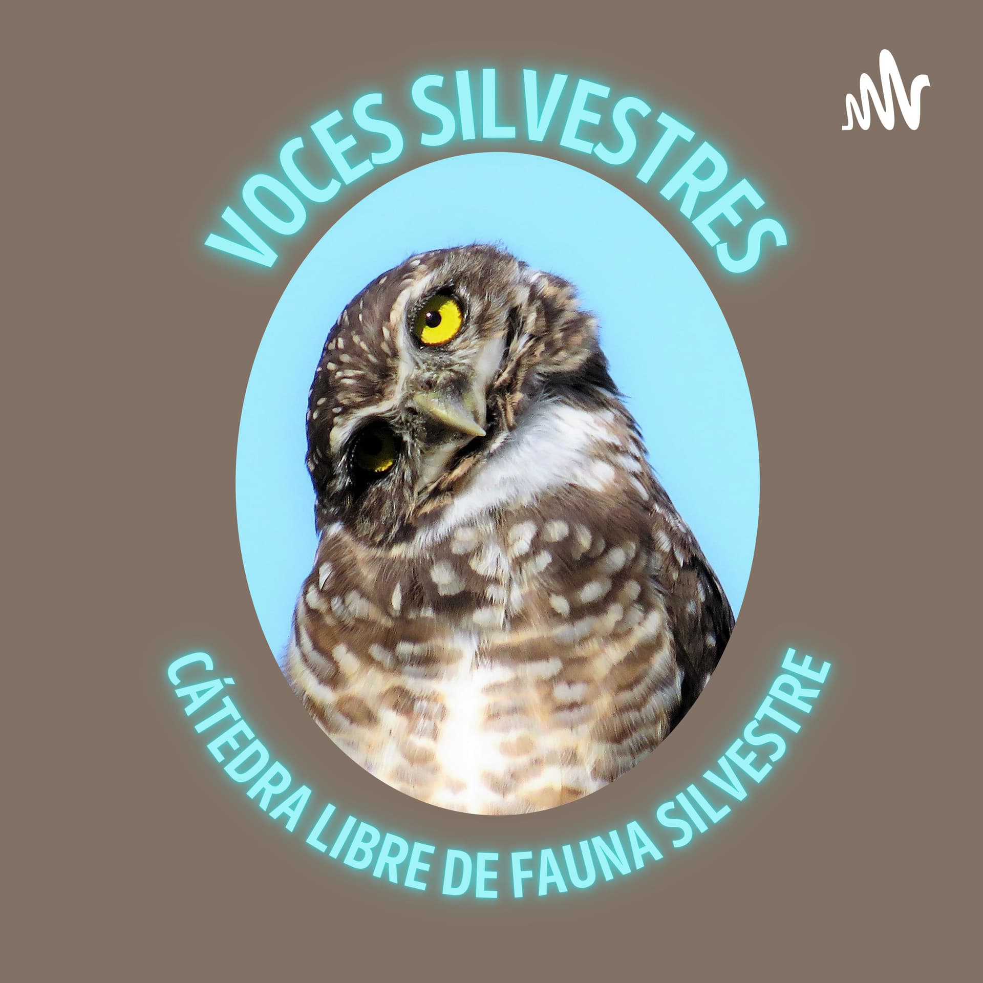 VOCES SILVESTRES - Podcasts