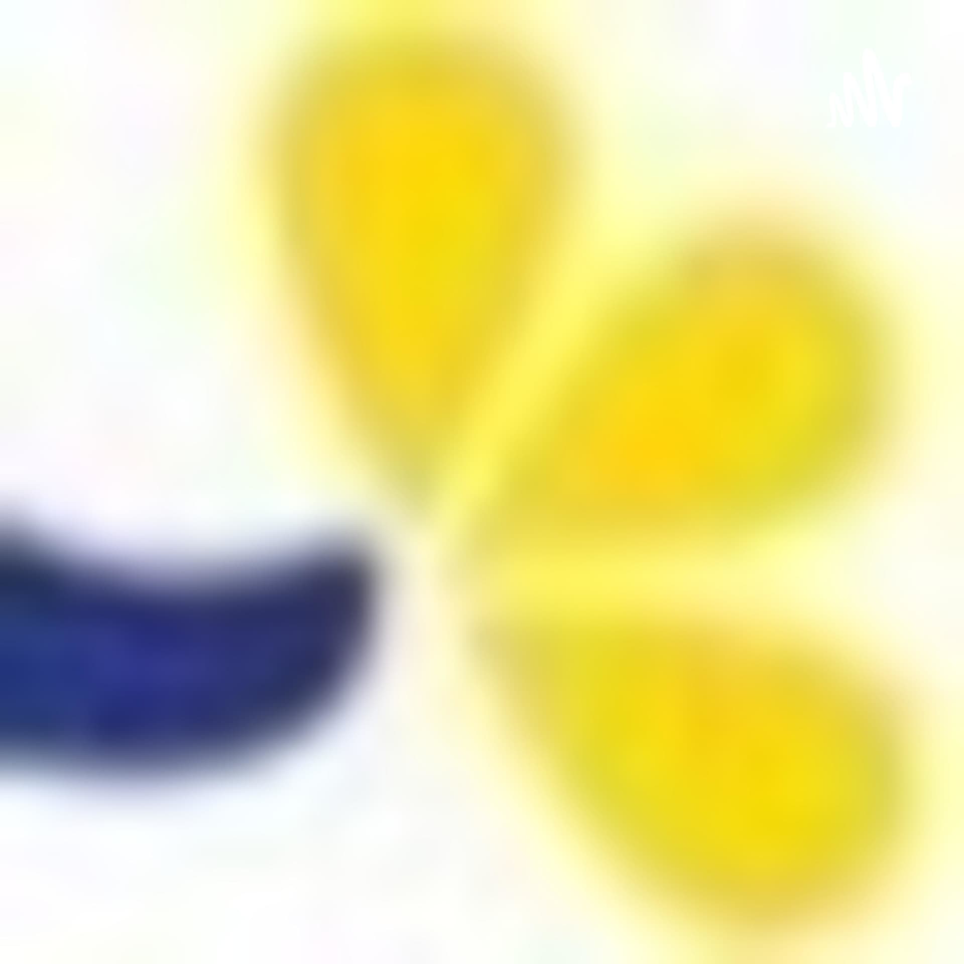 Tournesol 75 - Podcasts