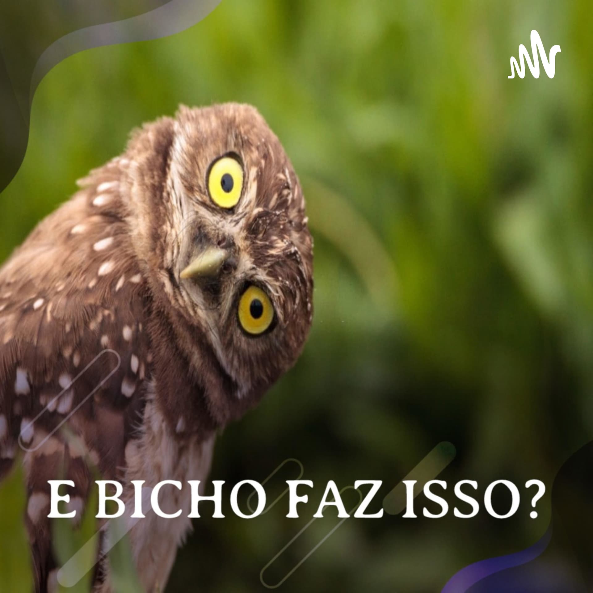 E Bicho faz isso? - Podcasts