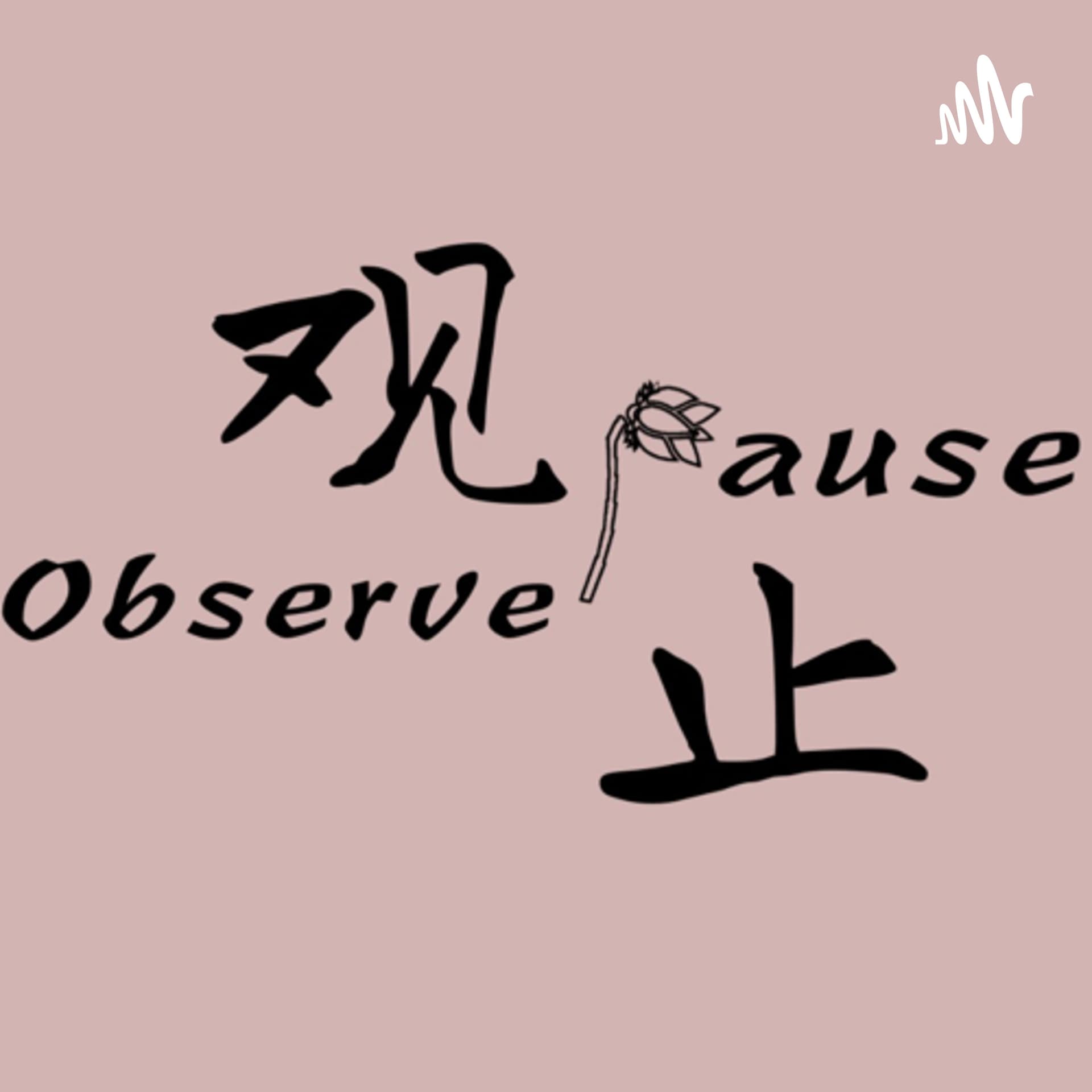大洋观止 - Podcasts