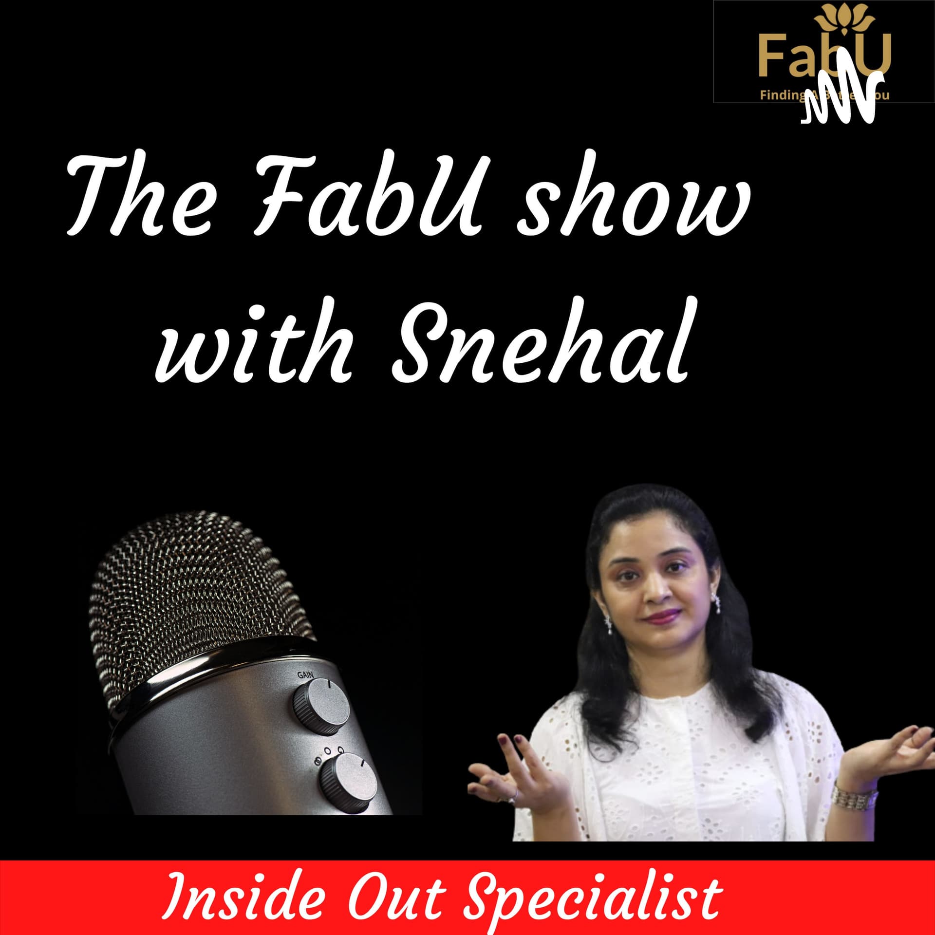 The Fabu Show With Snehal - Podcasts