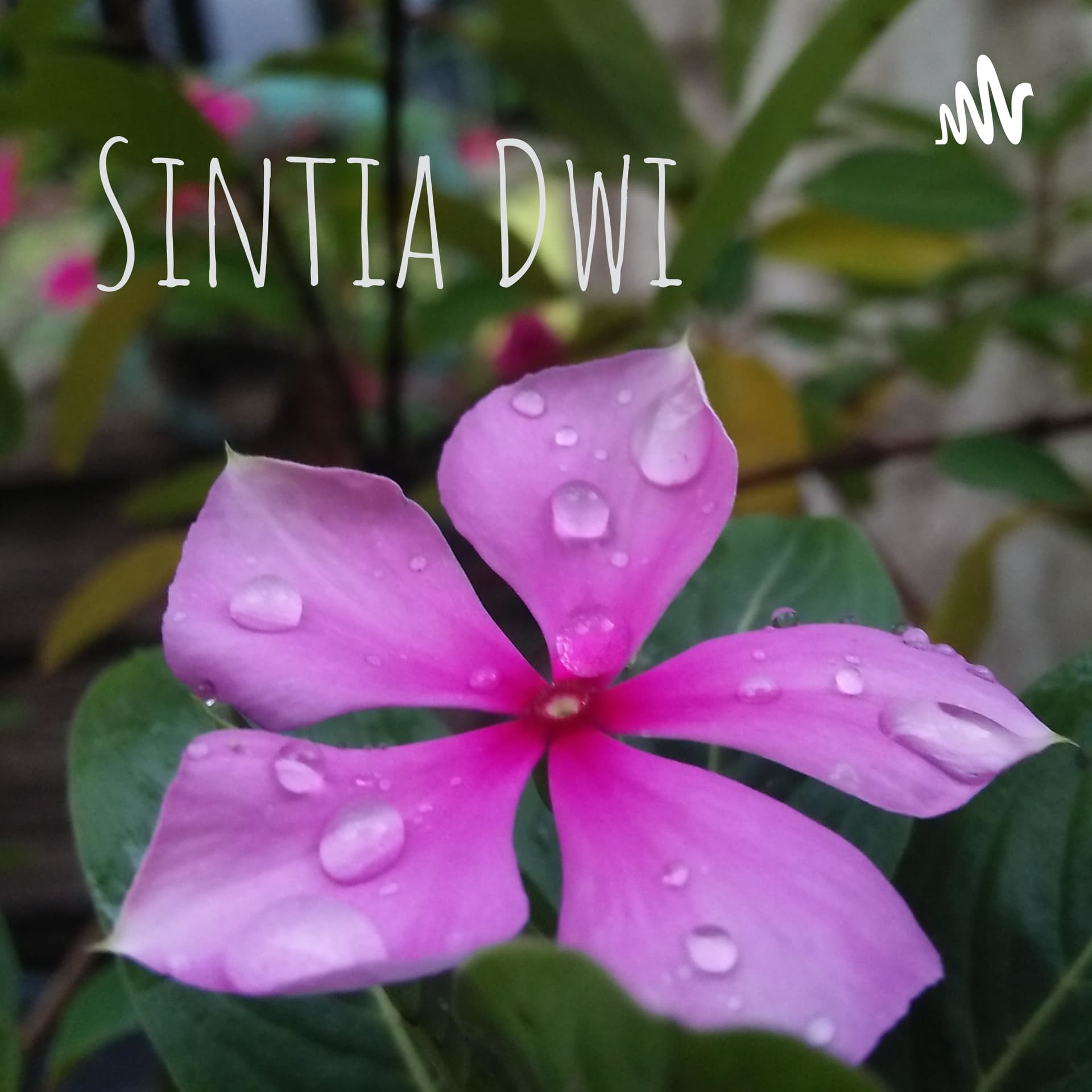 Sintia Dwi - Podcasts