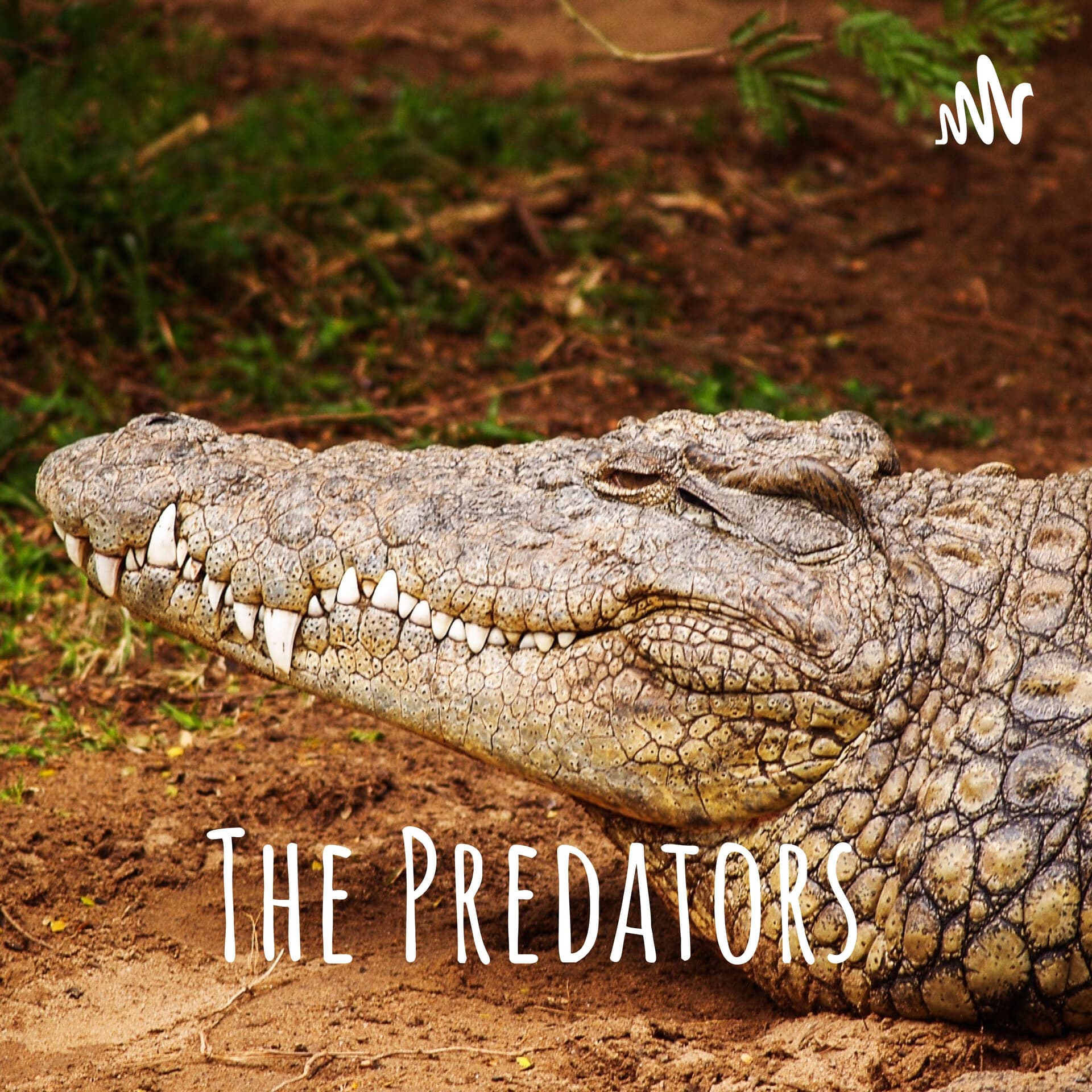The Predators - Podcasts
