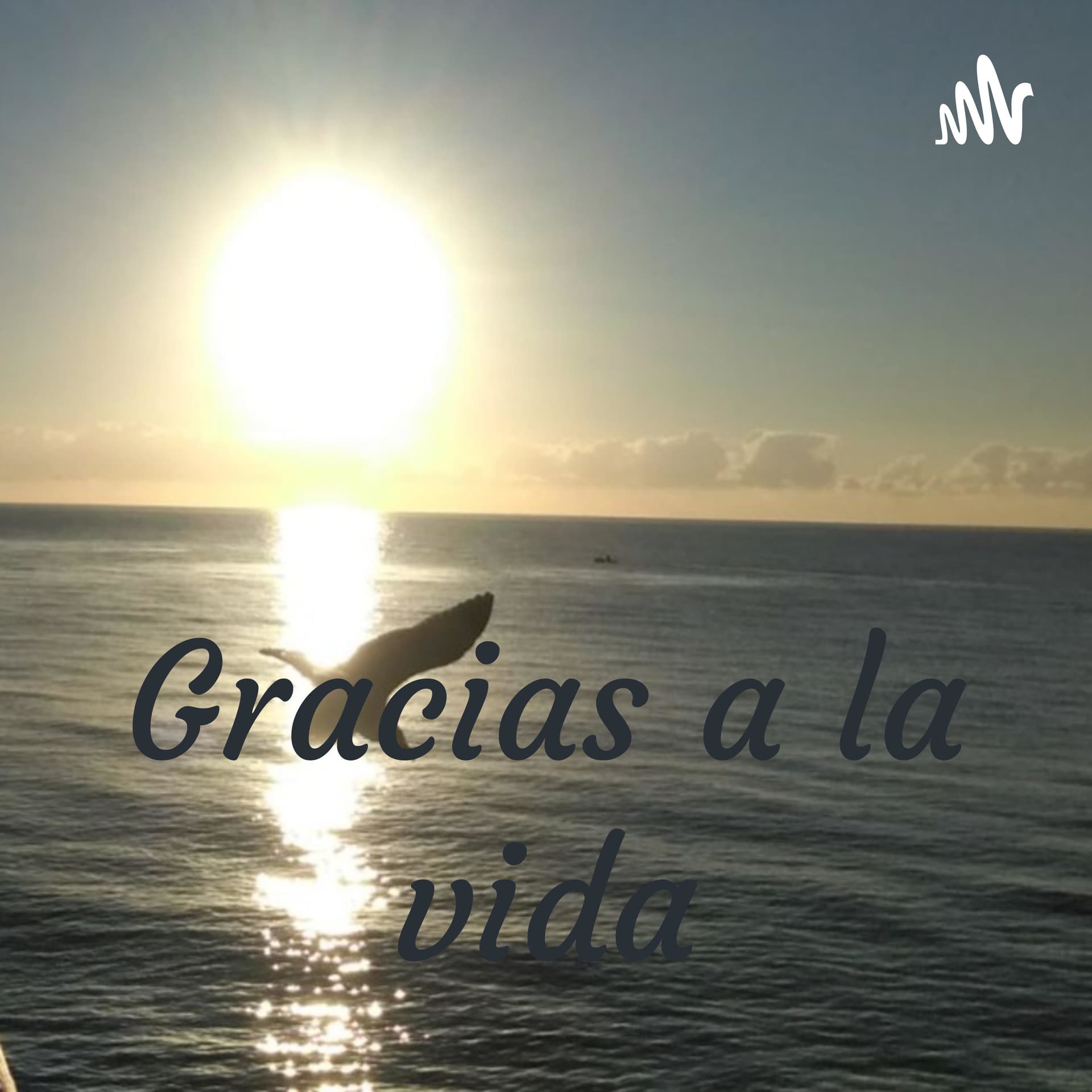 Historias - Voces del Alma Para Mantener y Recordar - Podcasts