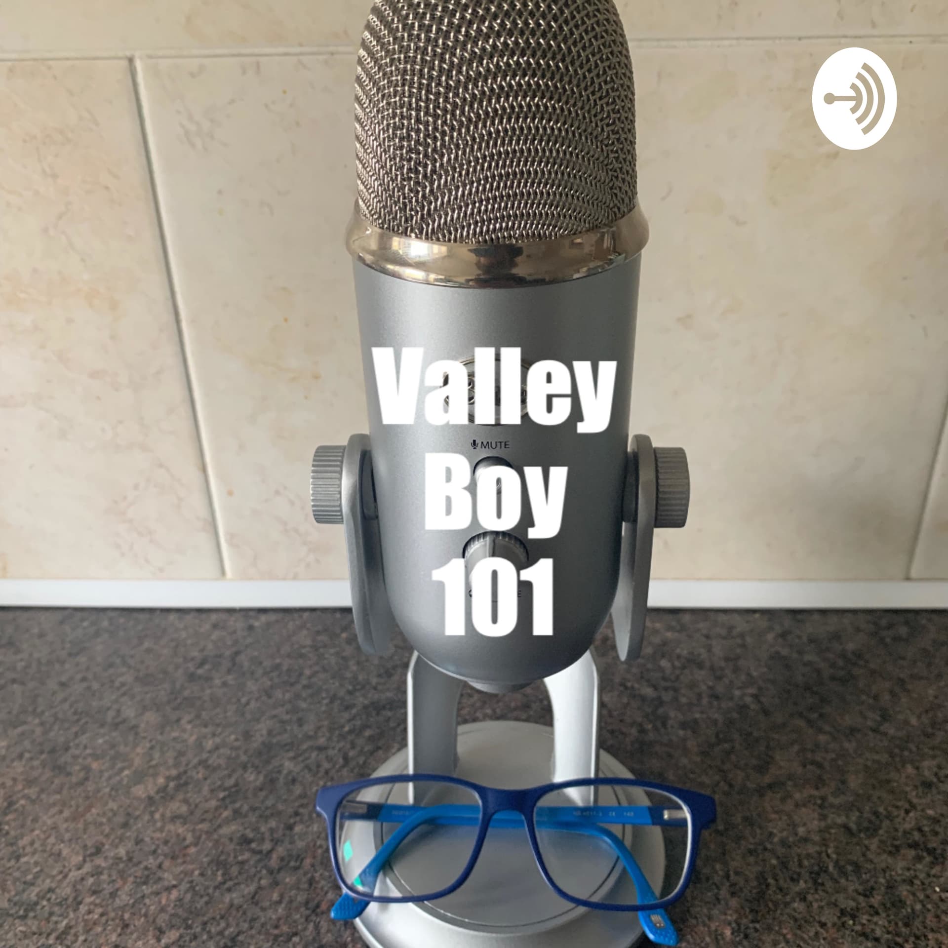 Valley Boy 101 - Podcasts