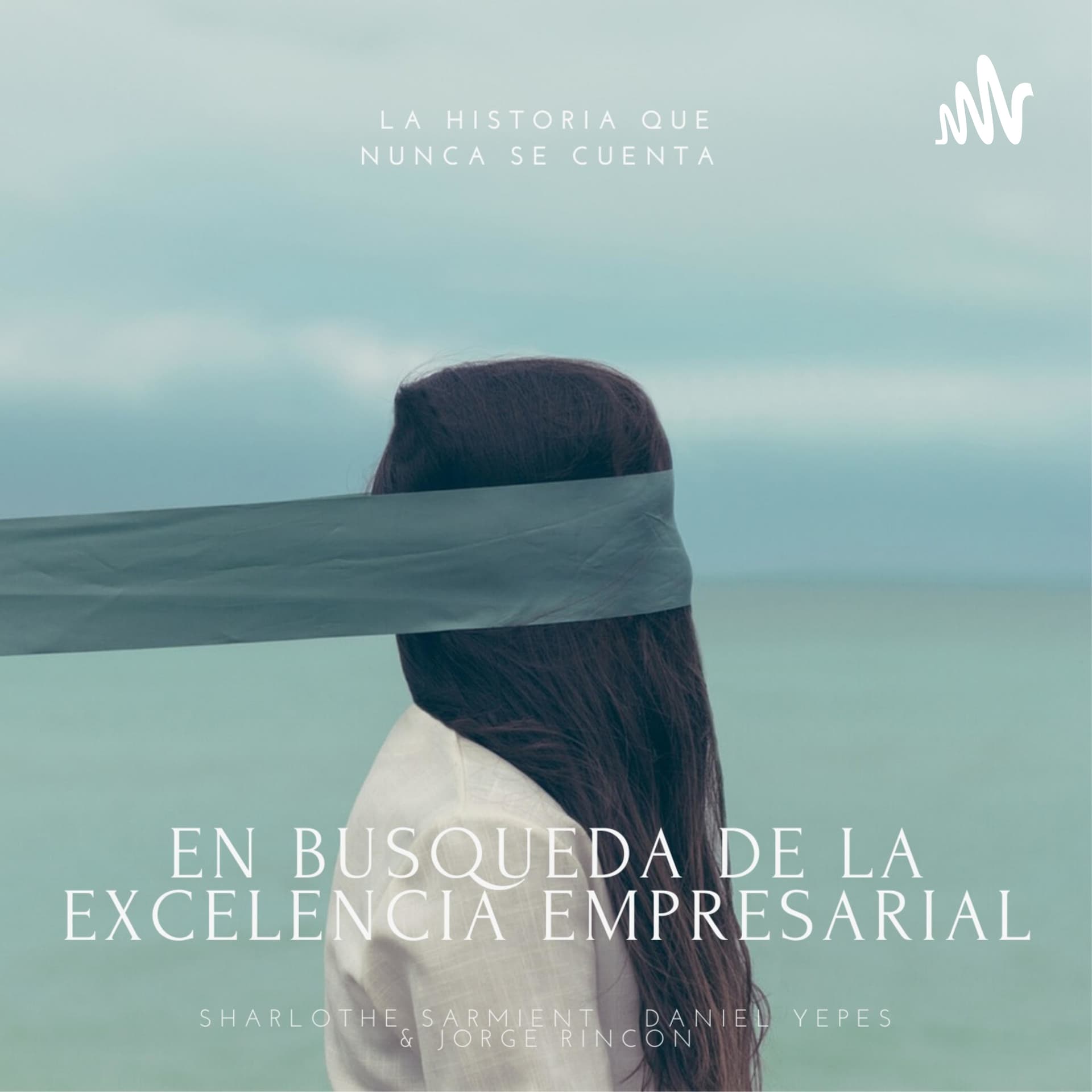 En busqueda de la excelencia empresarial - Podcasts