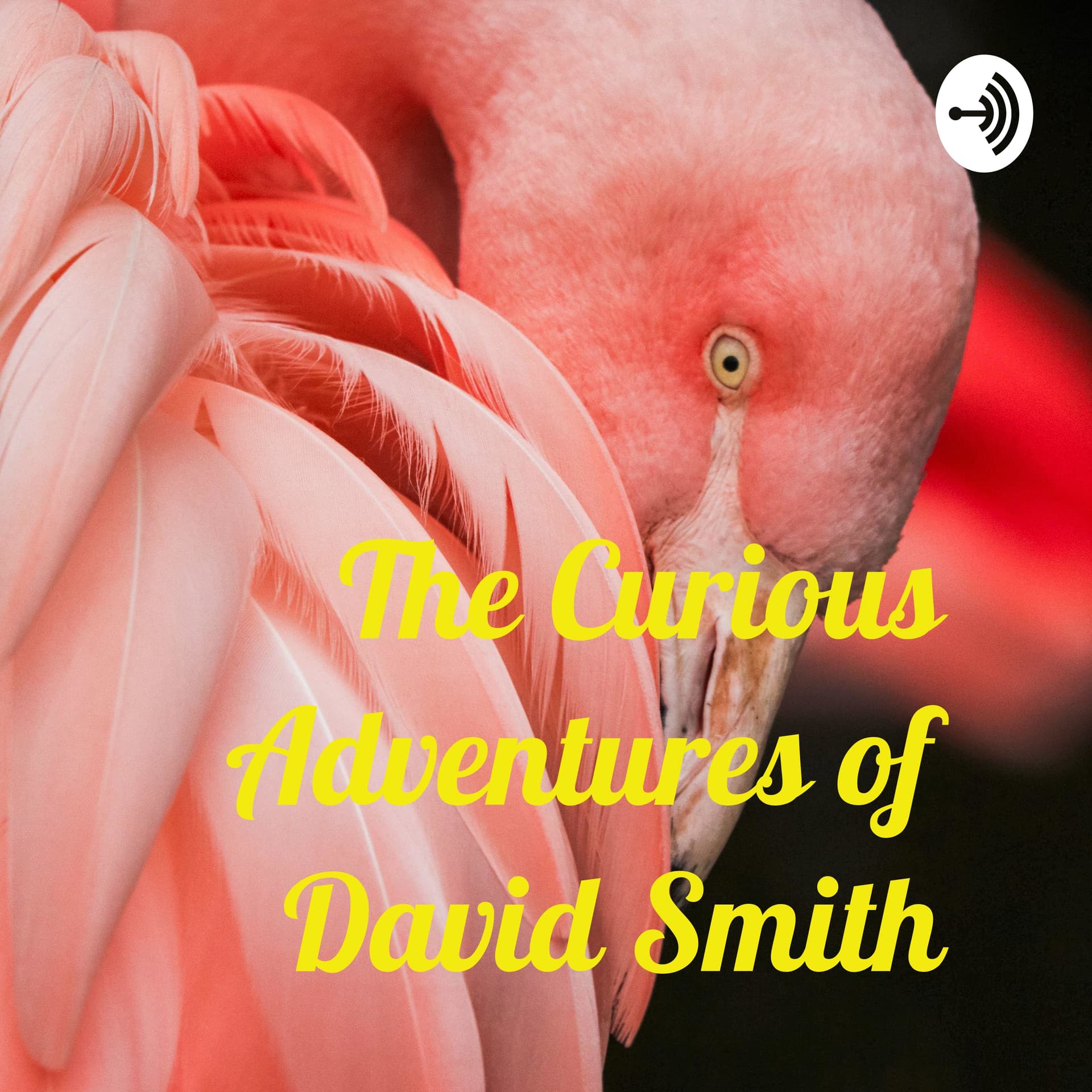 The Curious Adventures of David Smith - Podcasts