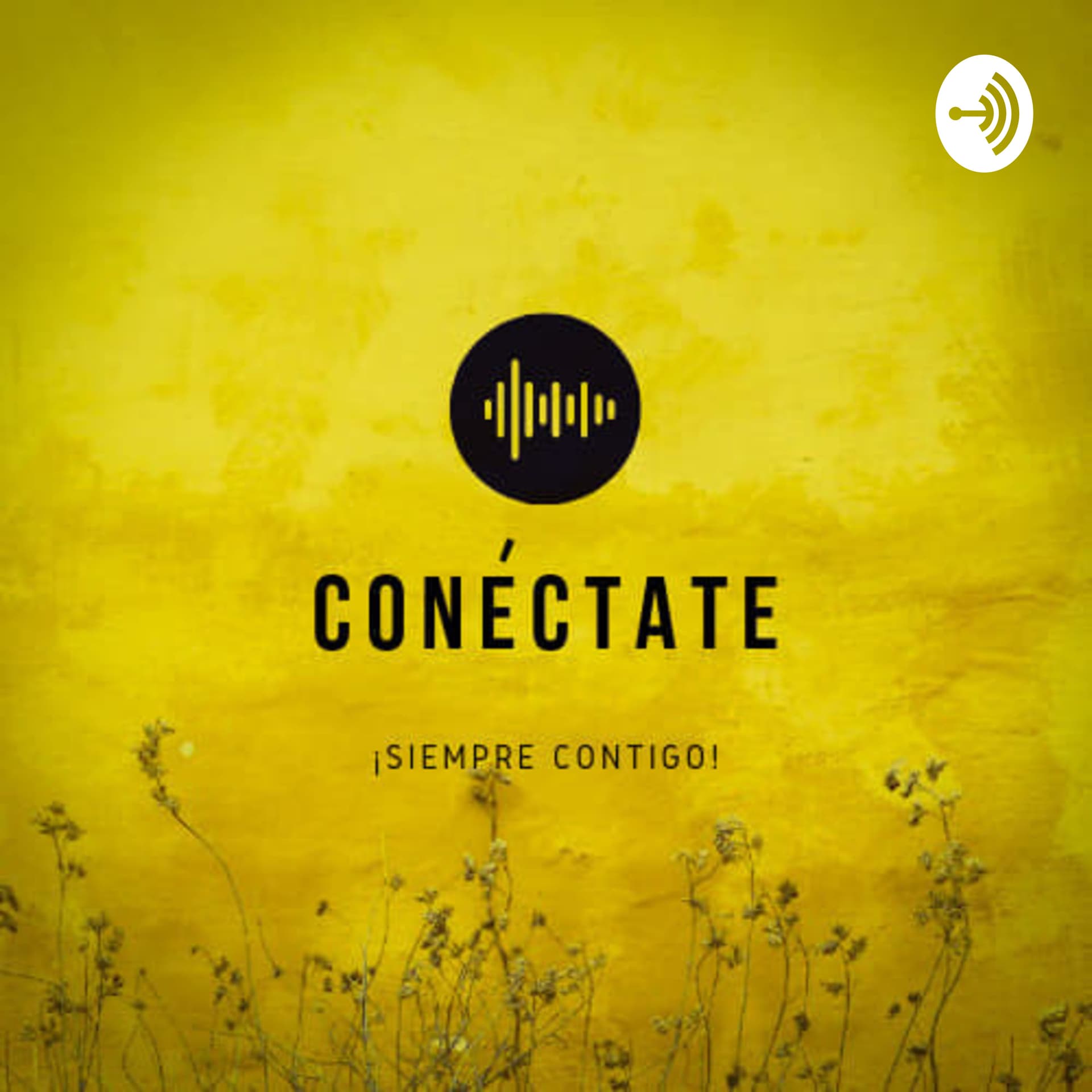 Conéctate siempre contigo - Podcasts