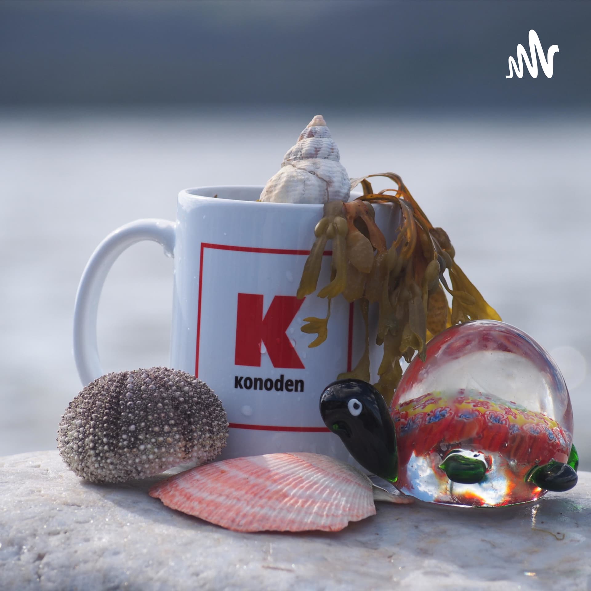 Денис Коновалов - Podcasts