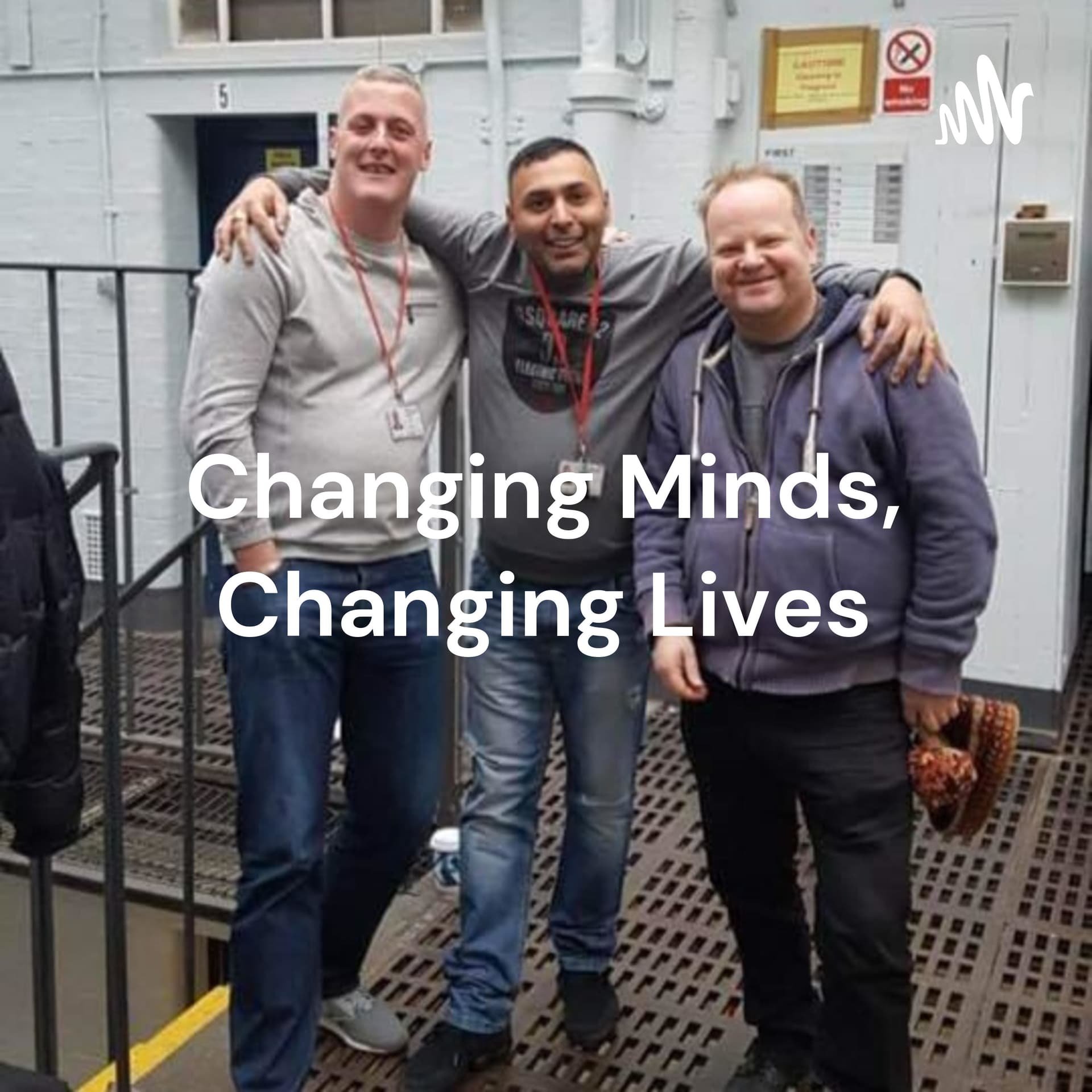 Changing Minds, Changing Lives: the Liaison & Diversion Diaries - Podcasts