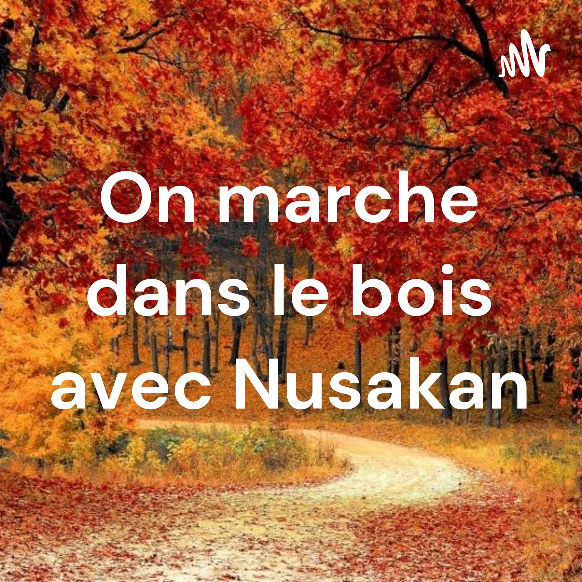 On marche dans le bois avec Nusakan