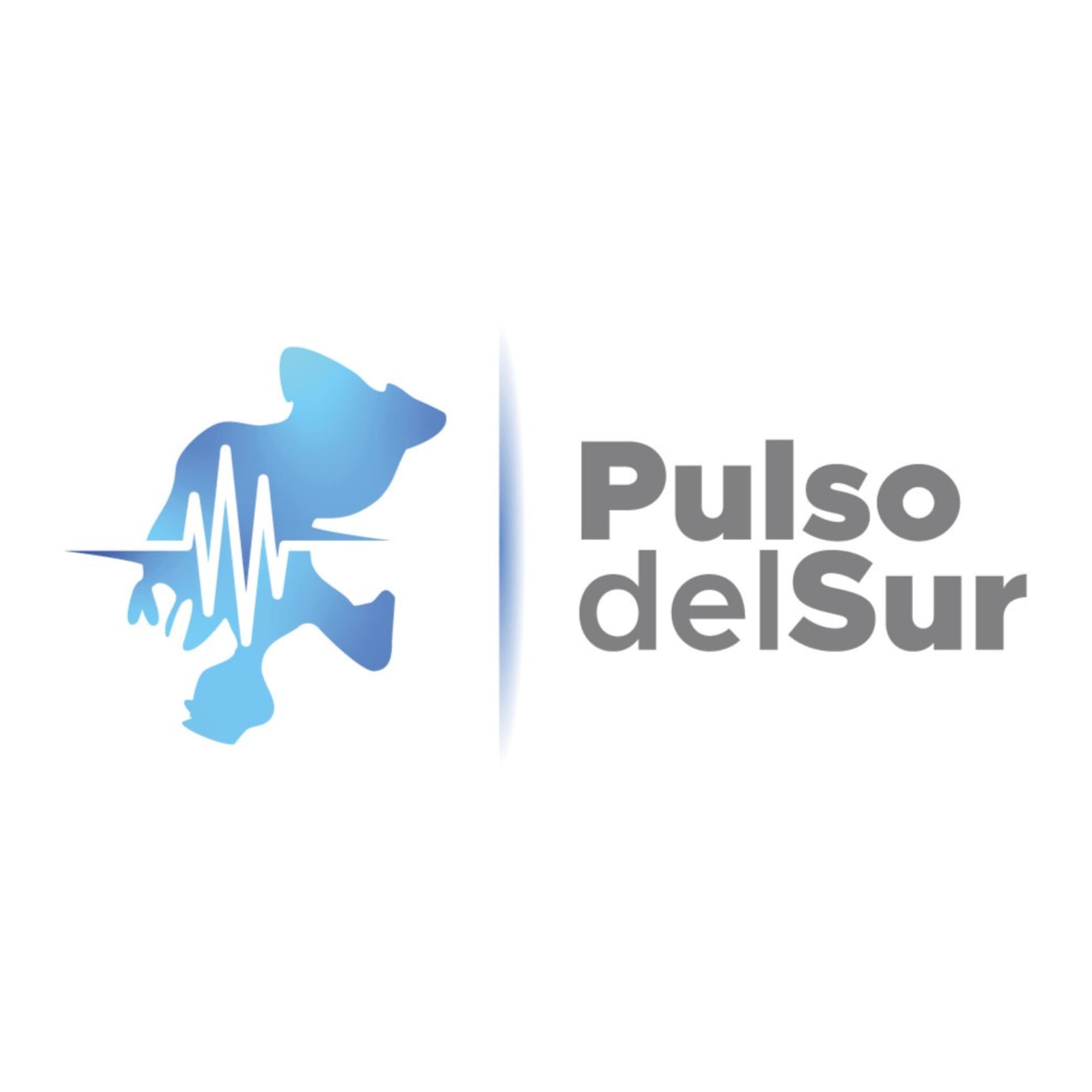Pulso del Sur - Podcasts