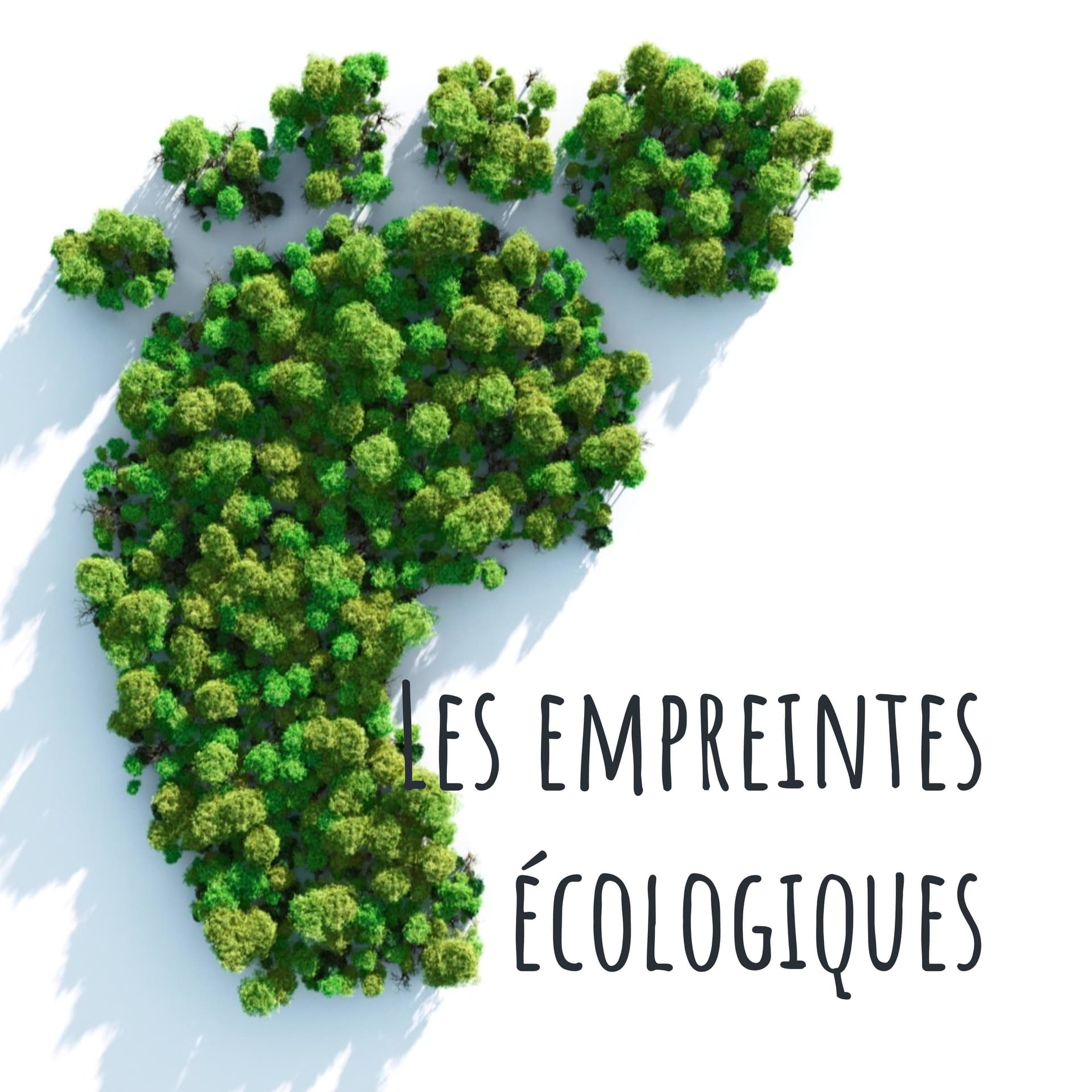 Les empreintes écologiques - Podcasts