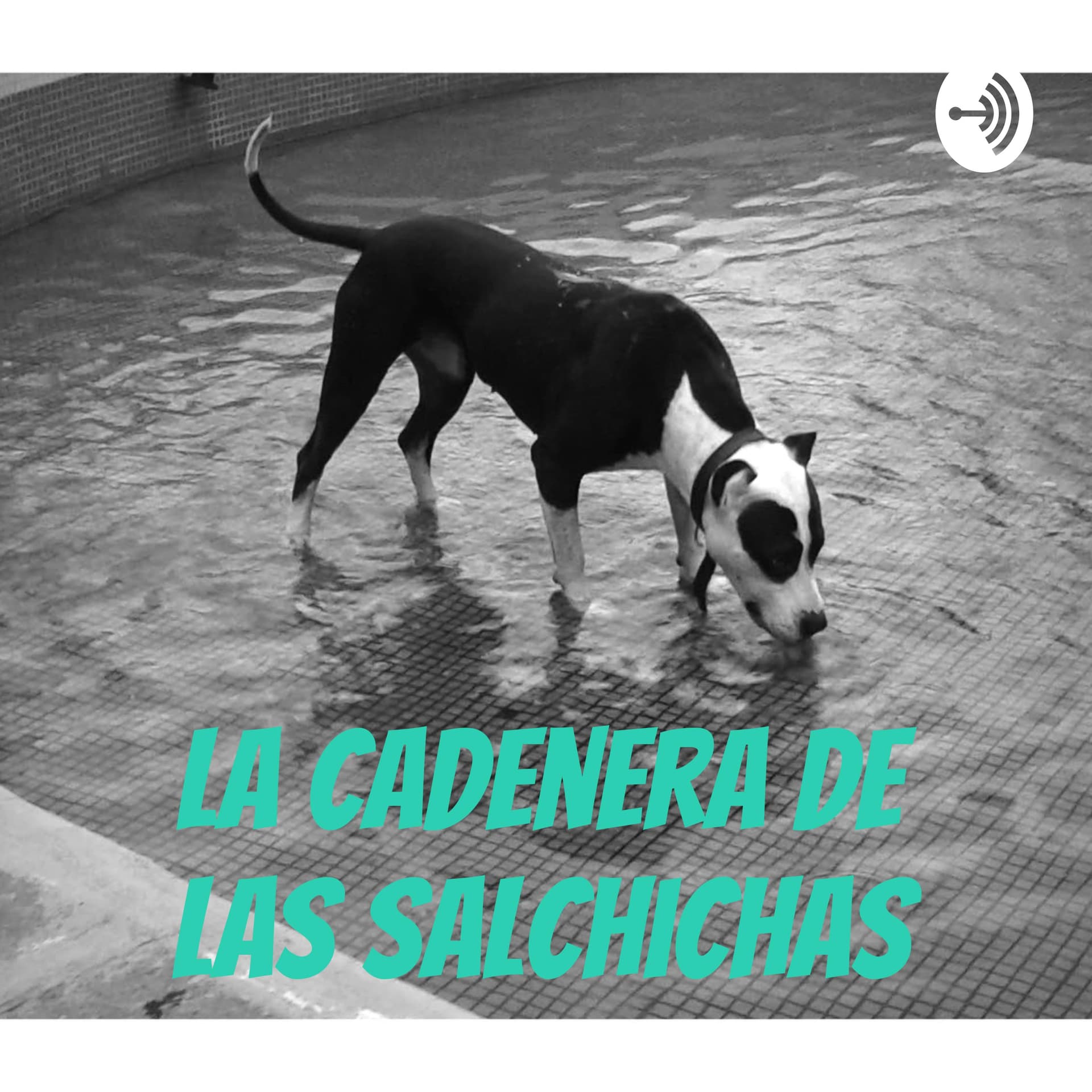 La cadenera de las salchichas - Podcasts