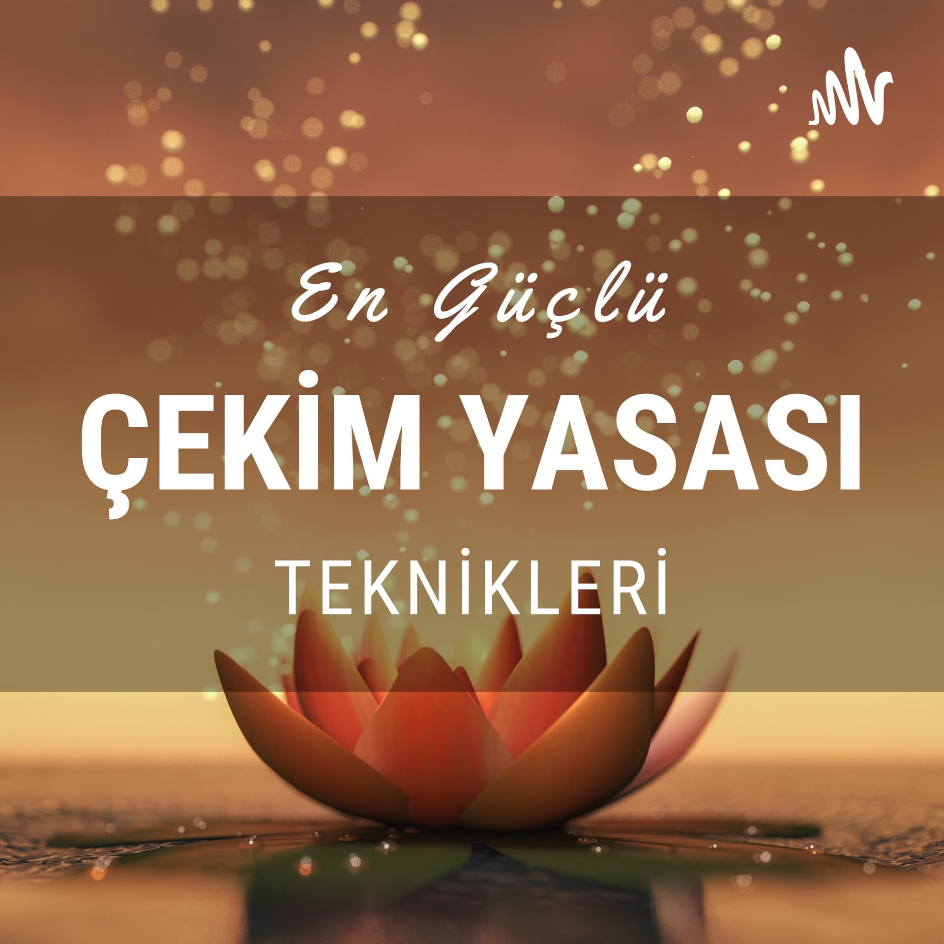 En Güçlü Çekim Yasası Teknikleri -İdil Sönmez - Podcasts