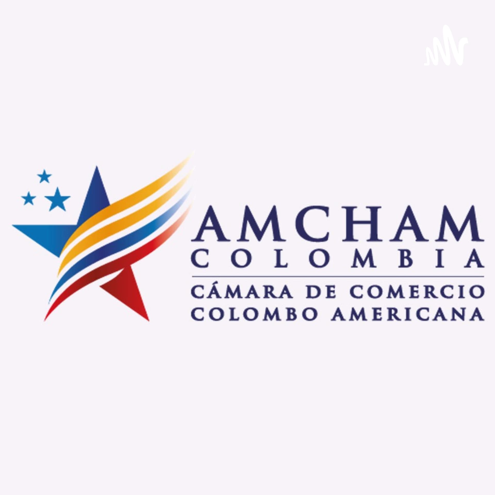 AmCham News - Podcasts