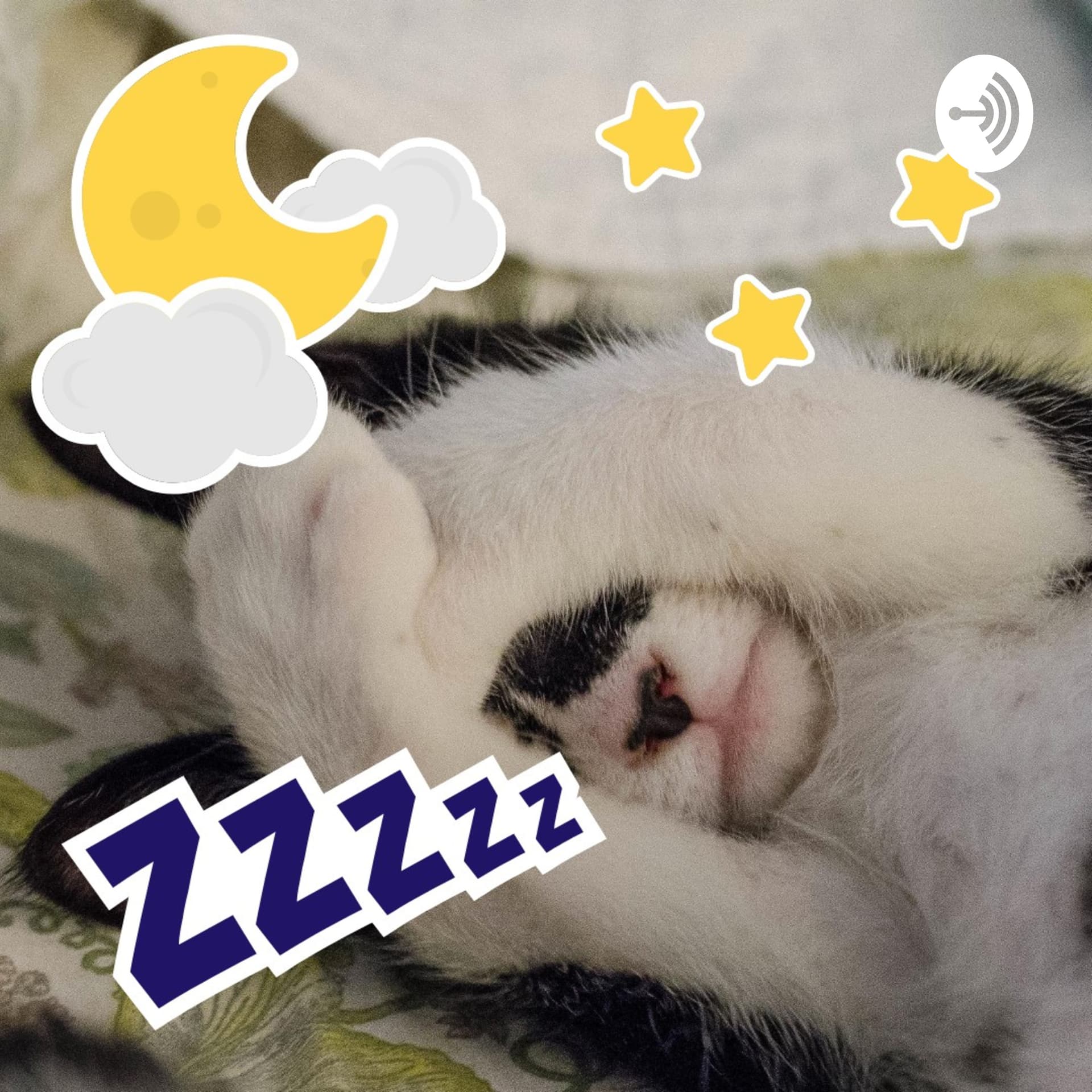 Pecinta Kucing - Podcasts