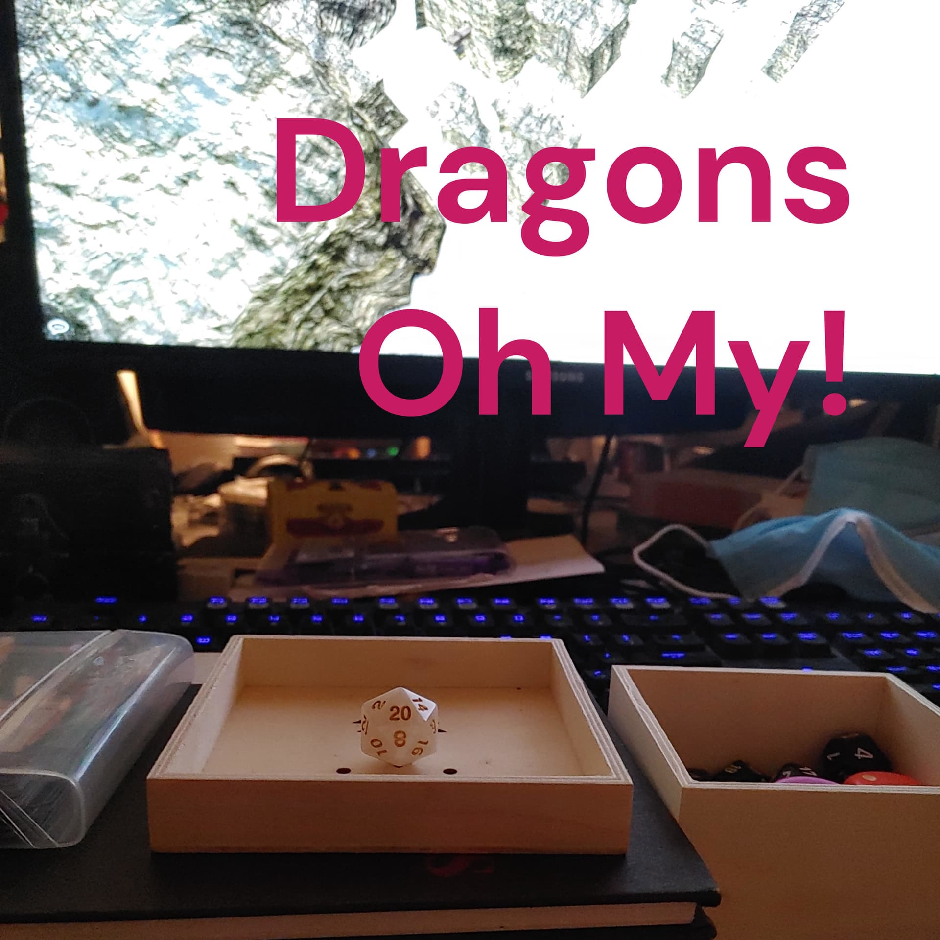 Dragons Oh My!