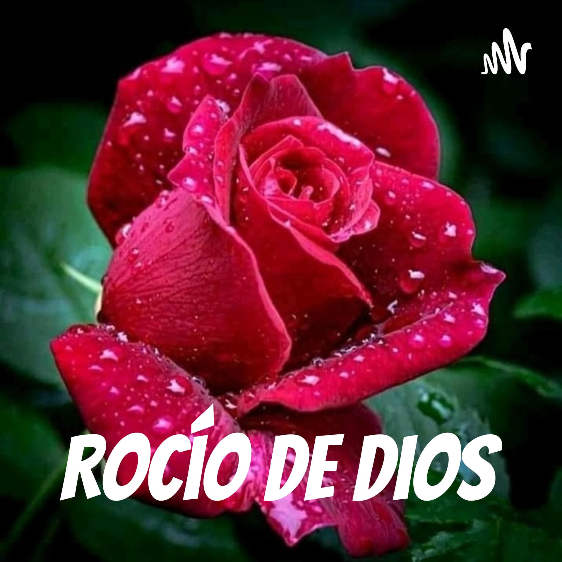 Rocío de Dios - Podcasts