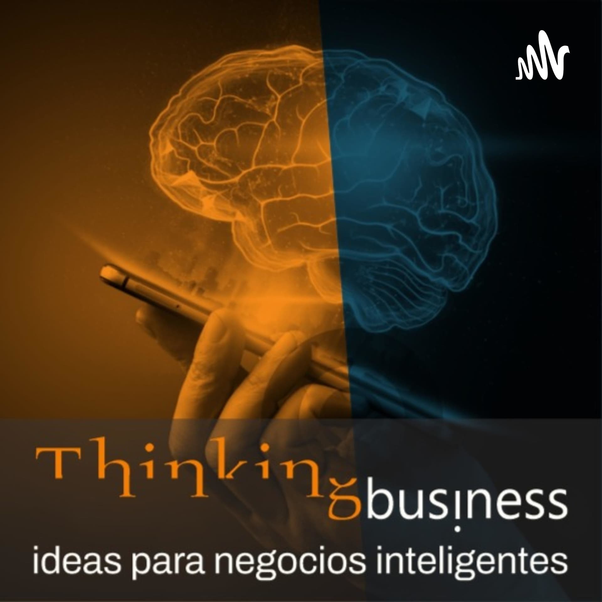 ThinkingBusiness Podcast - Podcasts
