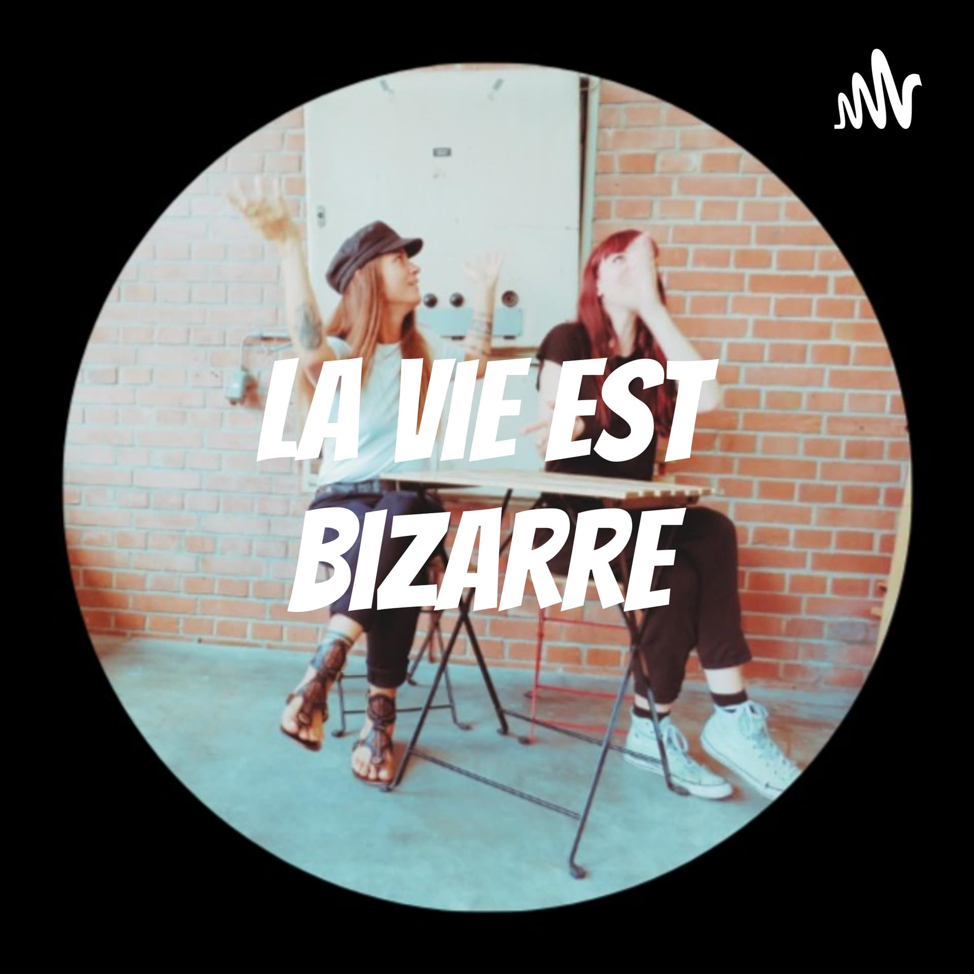 La Vie Est Bizarre - Podcasts