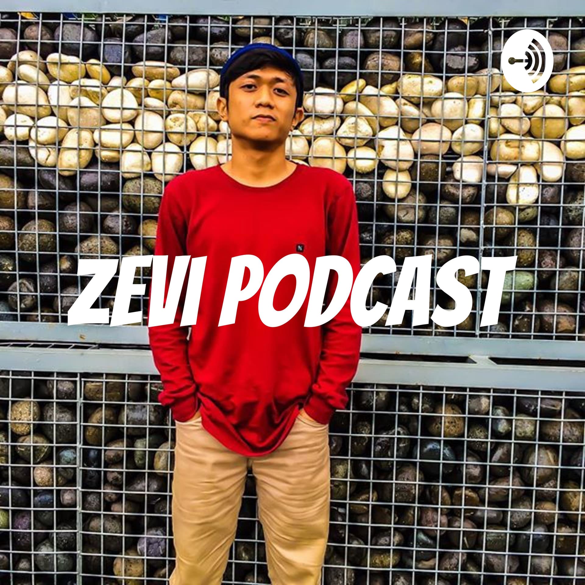 Zevi Podcast - Podcasts