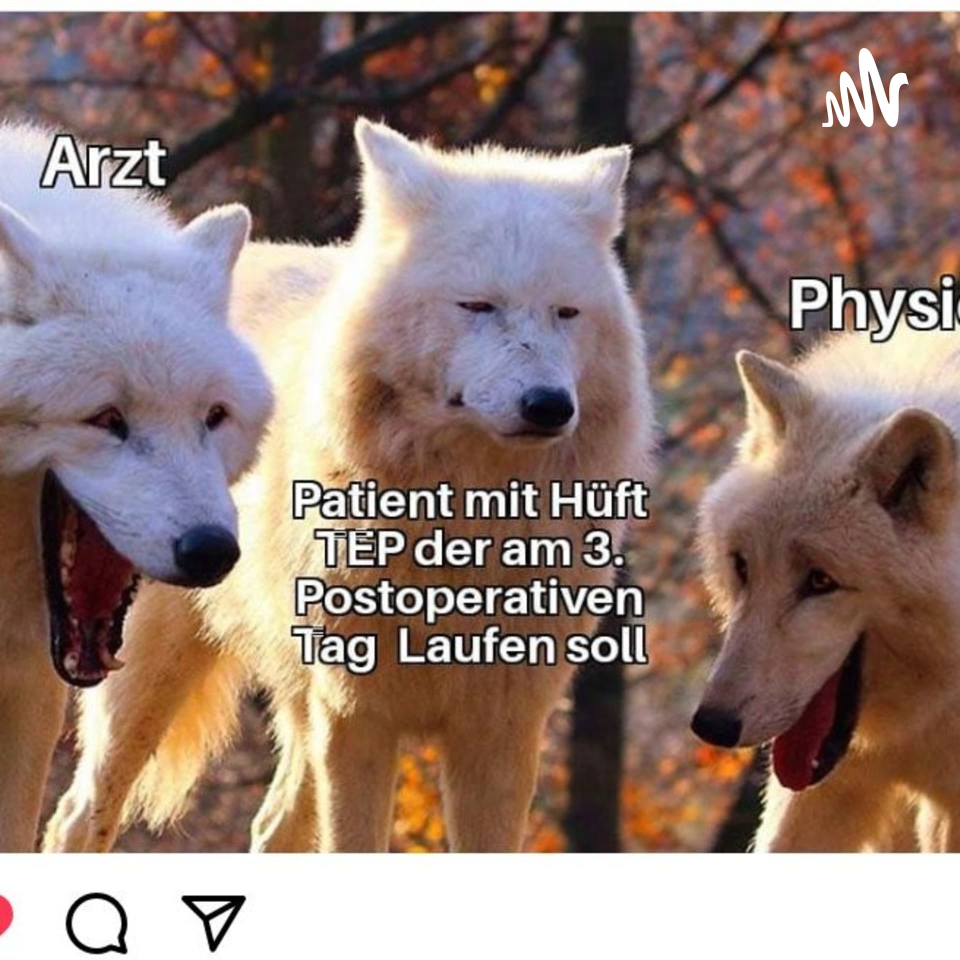 Physios in der Besenkammer