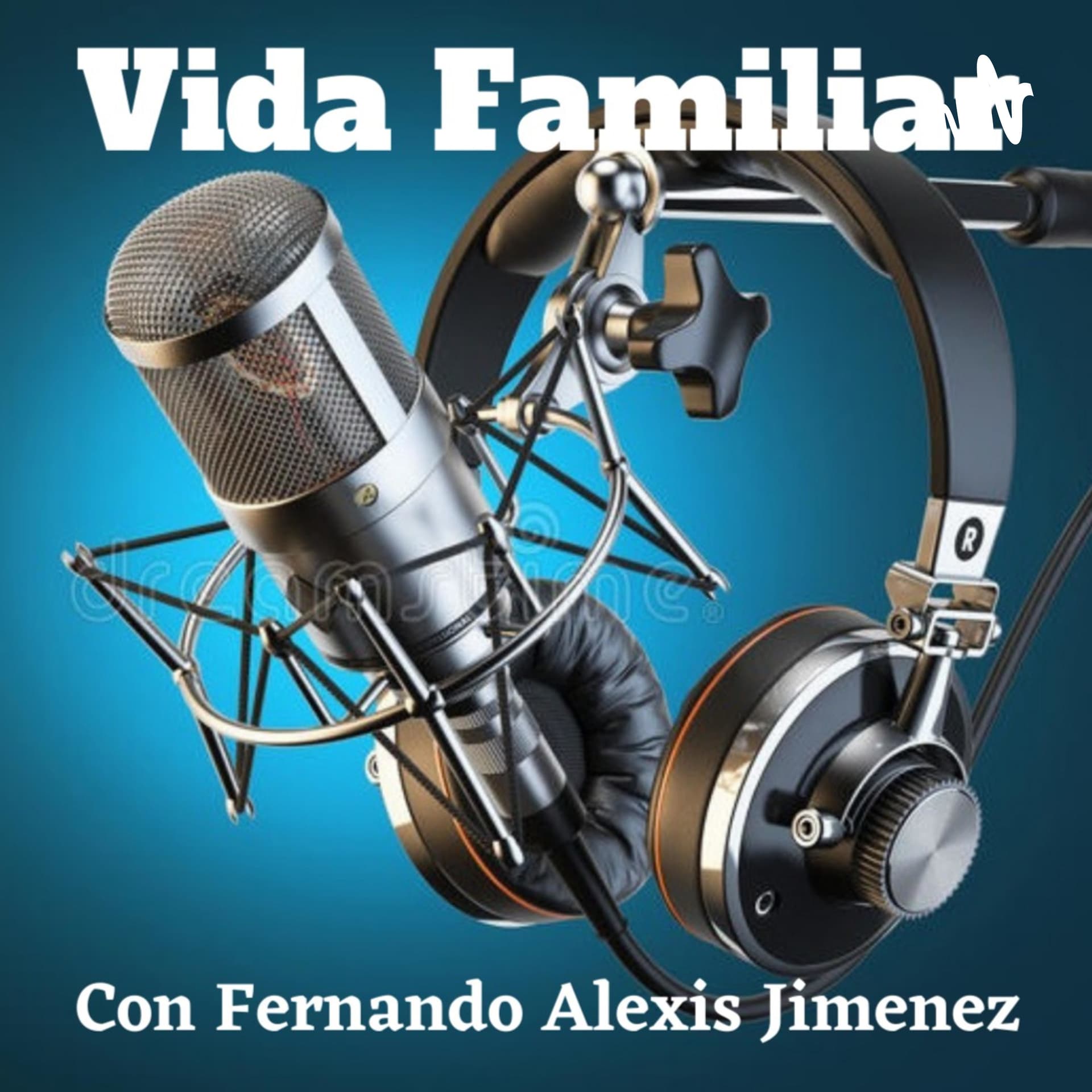 Ministerios Vida Familiar - Podcasts