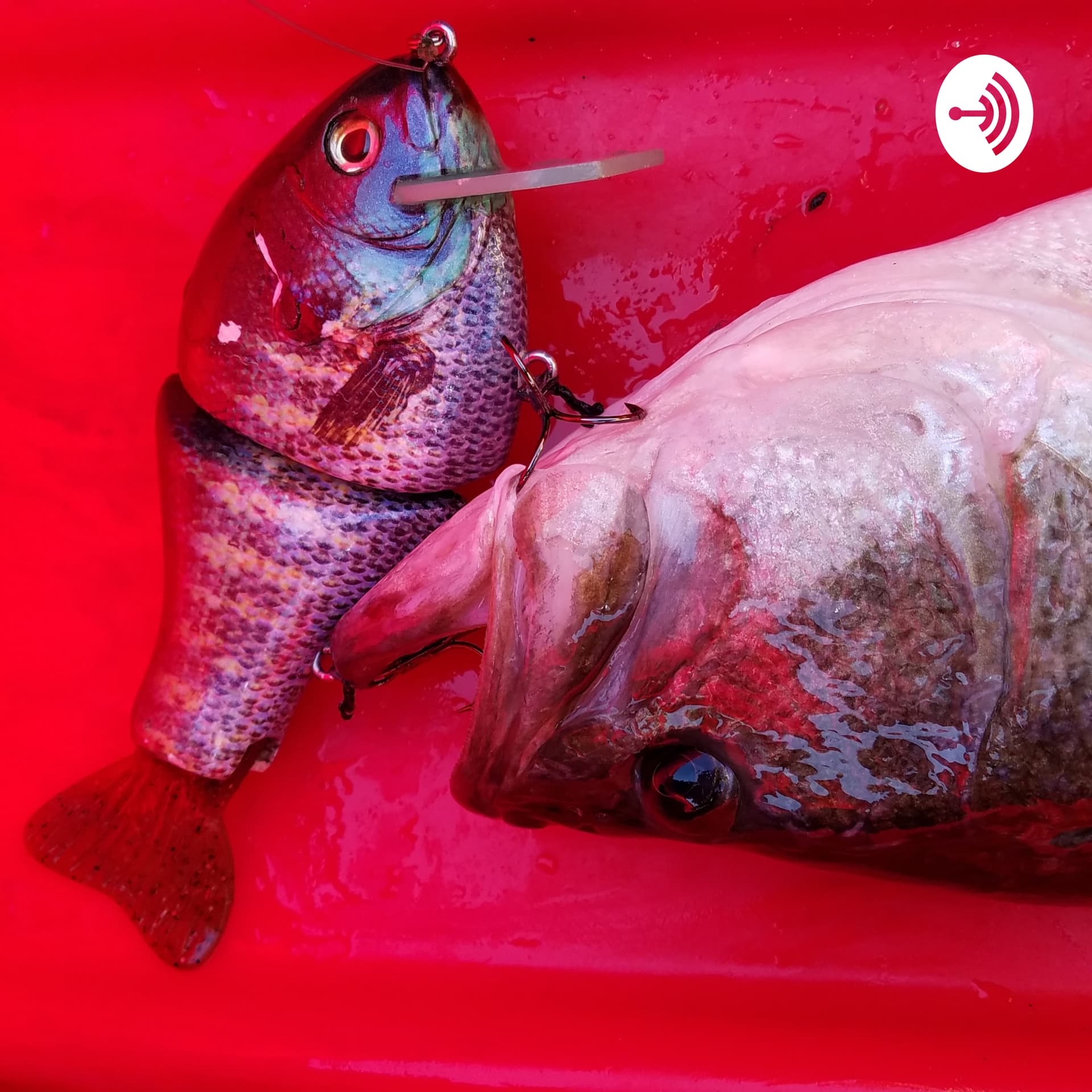 Big Bait Sagas - Big Bait Podcast - Podcasts