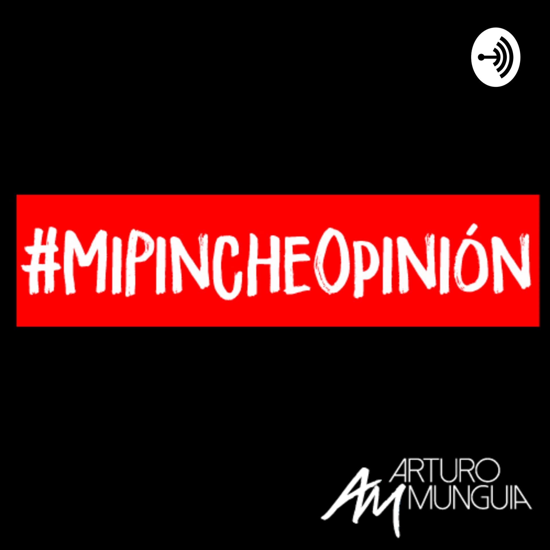 Mi Pinche Opinión