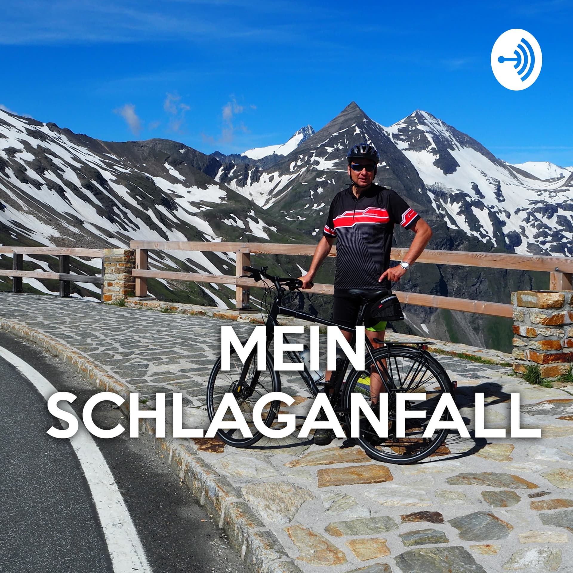 MeinSchlaganfall - Podcasts