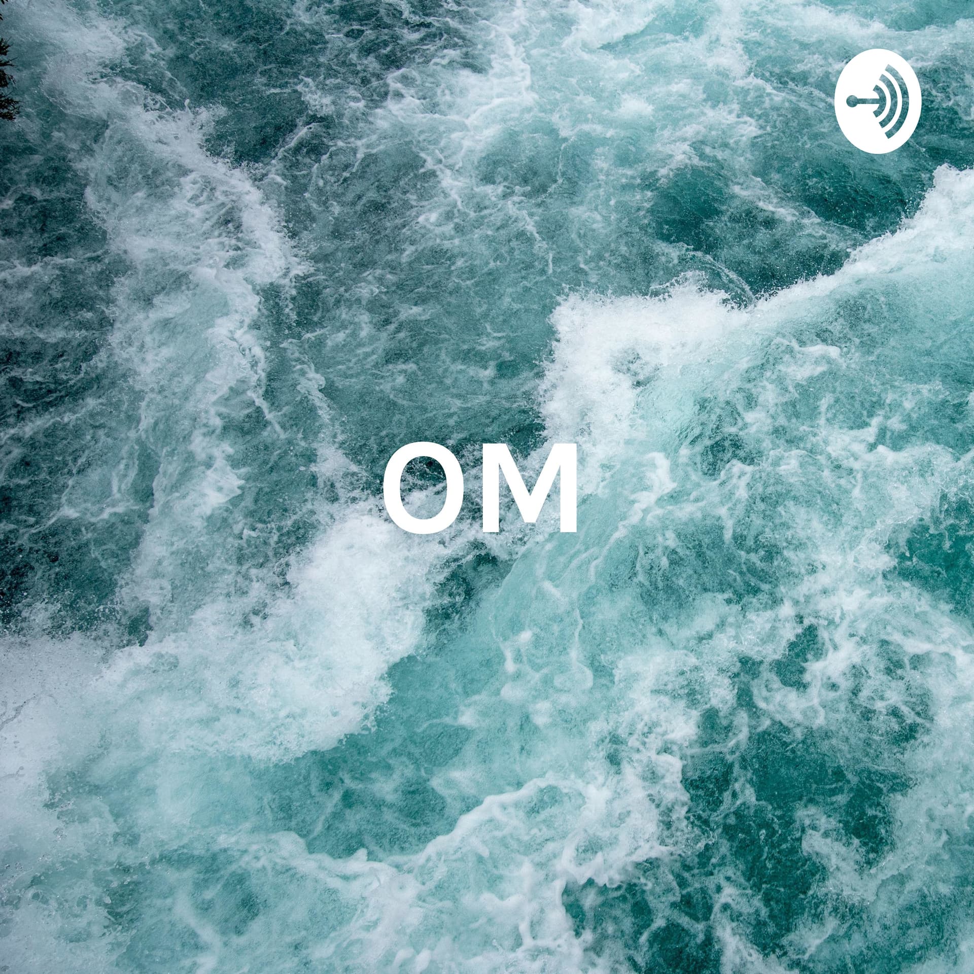 OM - Otilia Mentruyt