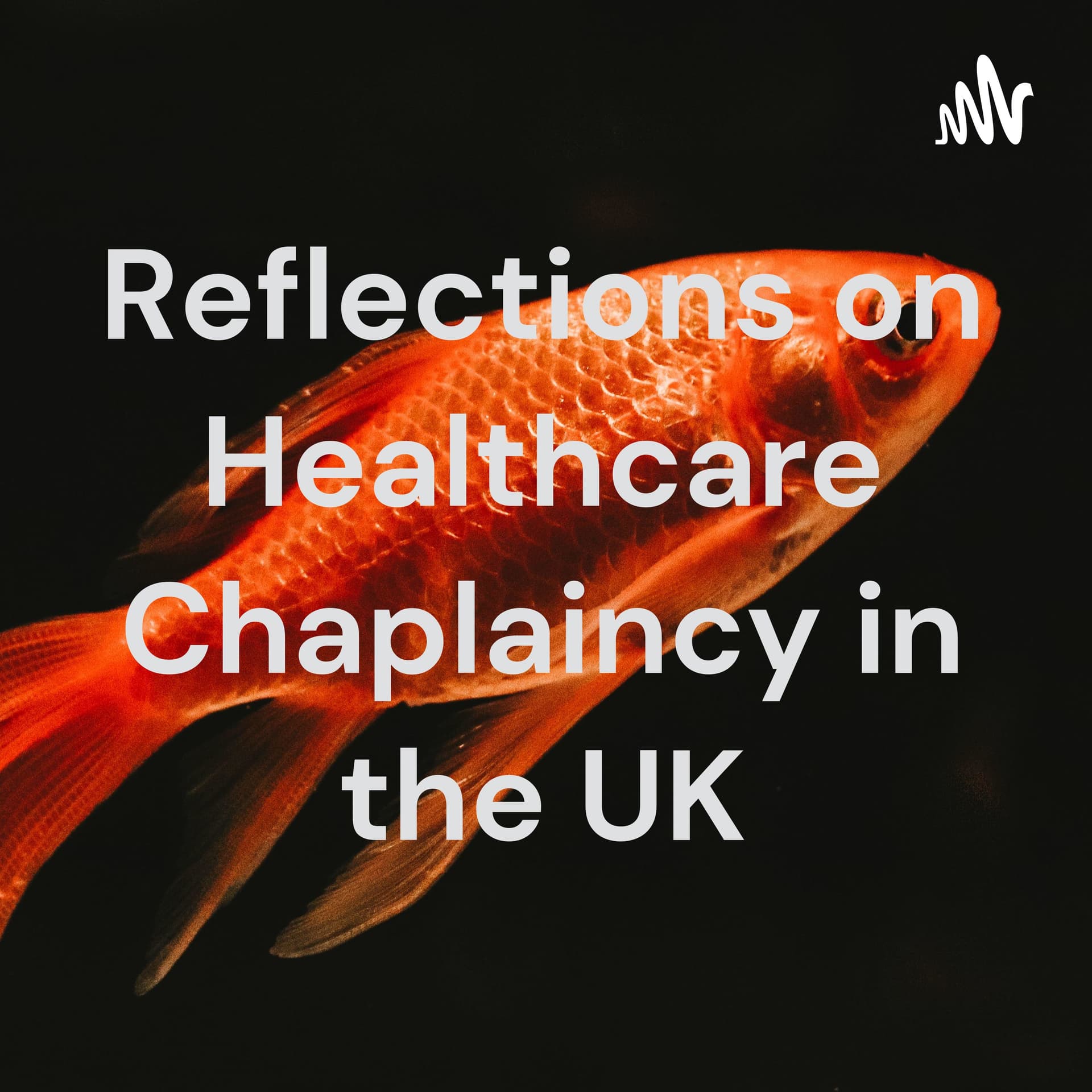 Reflections on Healthcare Chaplaincy in the UK - Podcasts