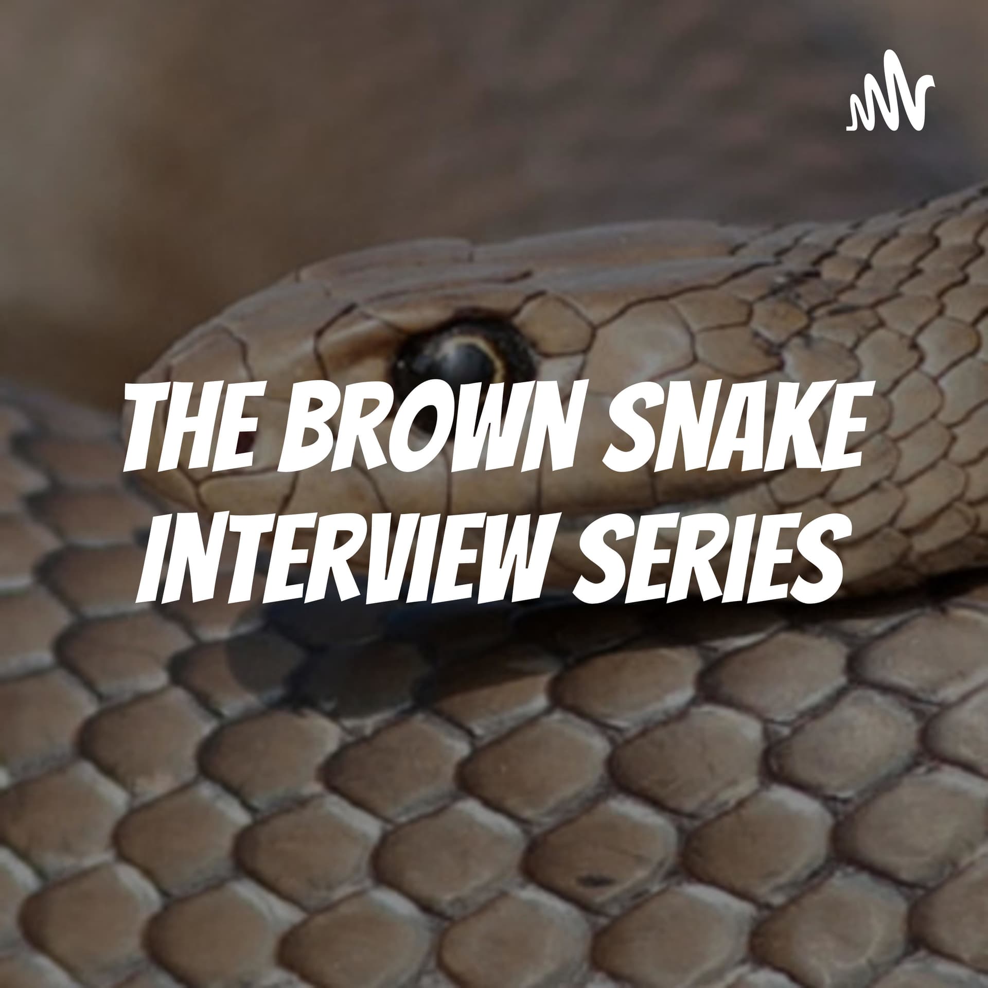 The Brown Snake Interview Series - Podcasts