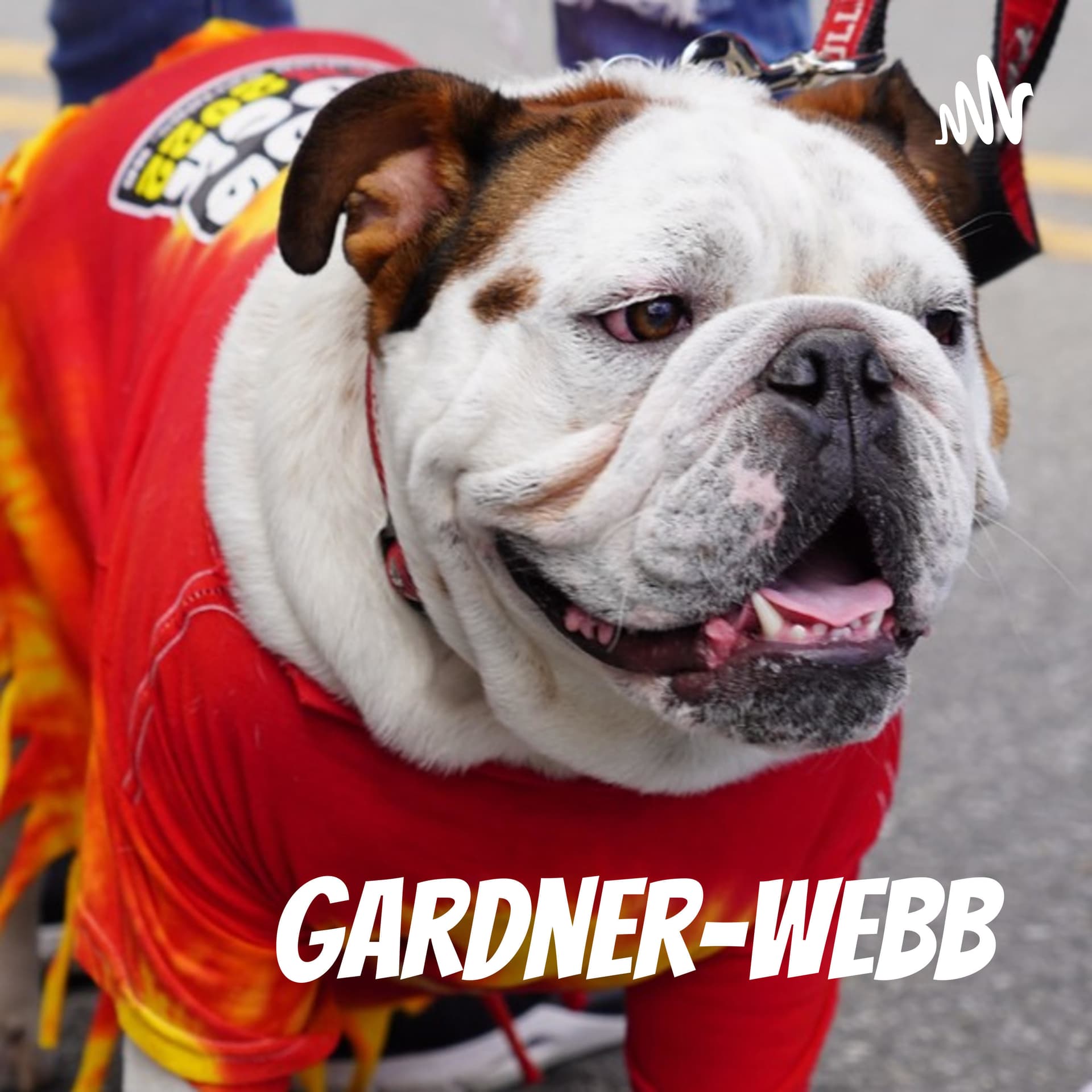 Gardner-Webb University: Podcast Network - Podcasts