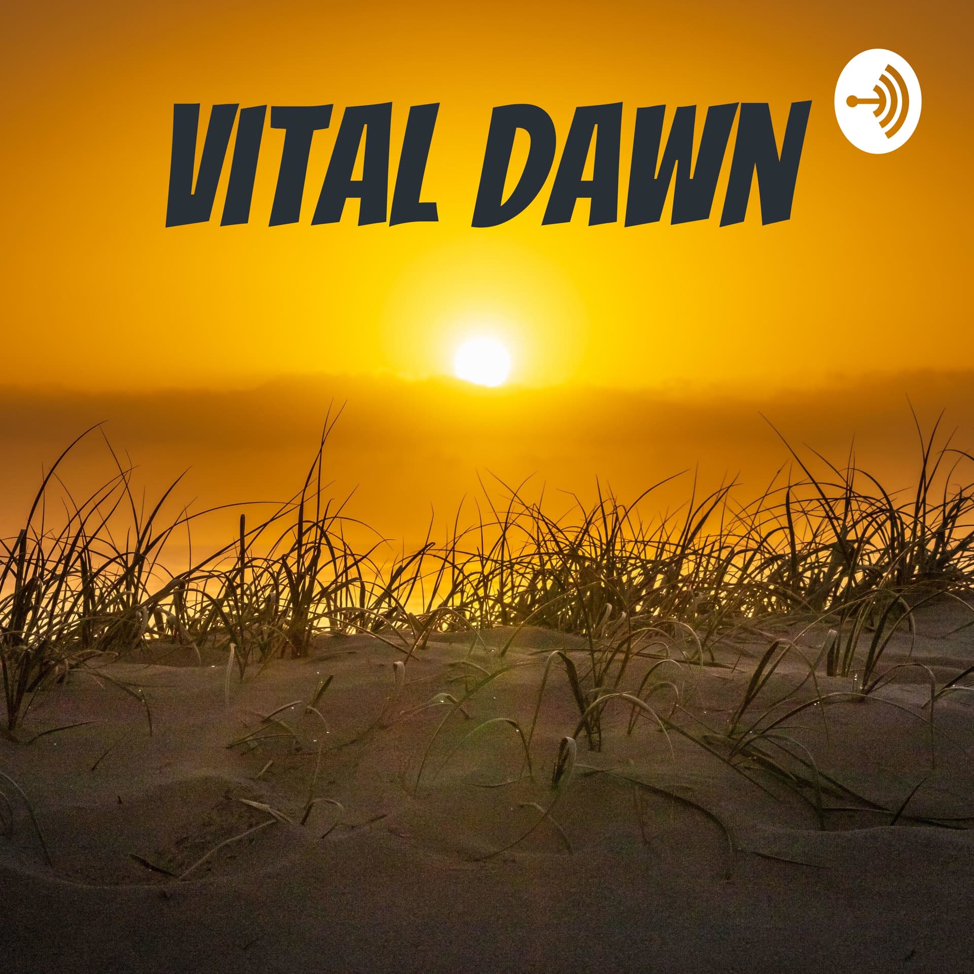 Vital Dawn - Podcasts