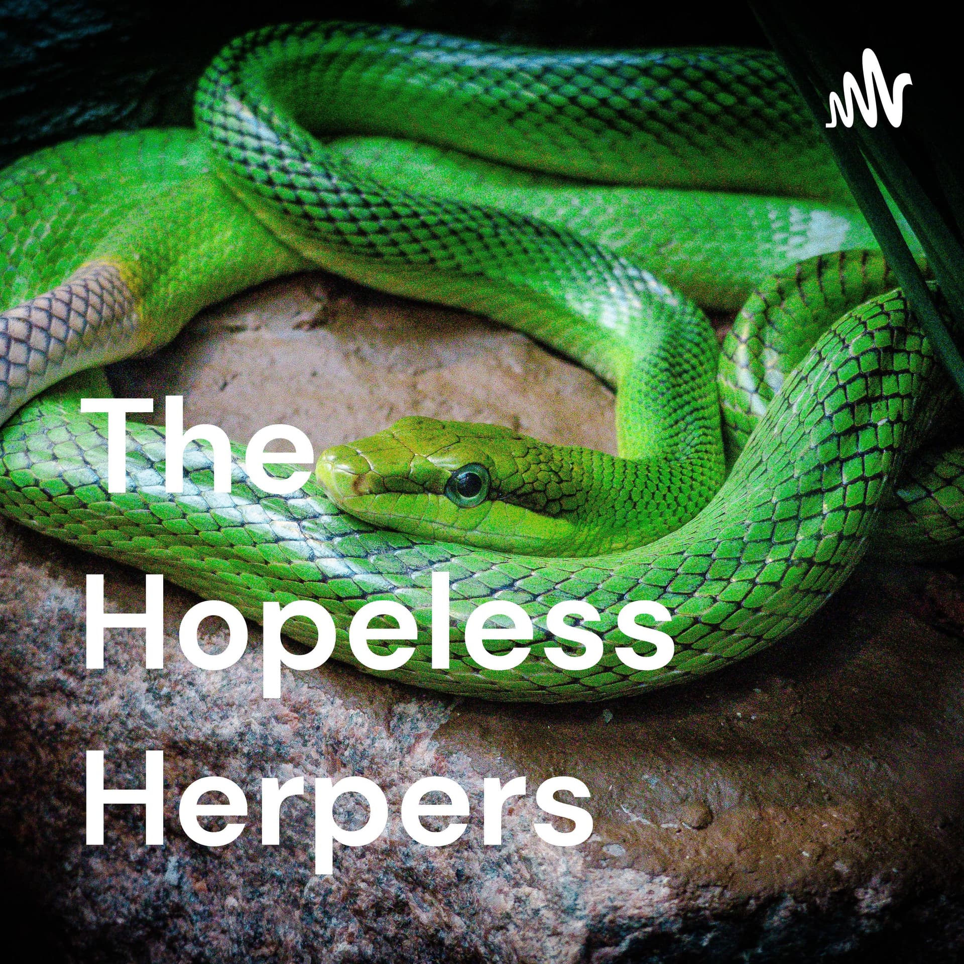 The Hopeless Herpers - Podcasts