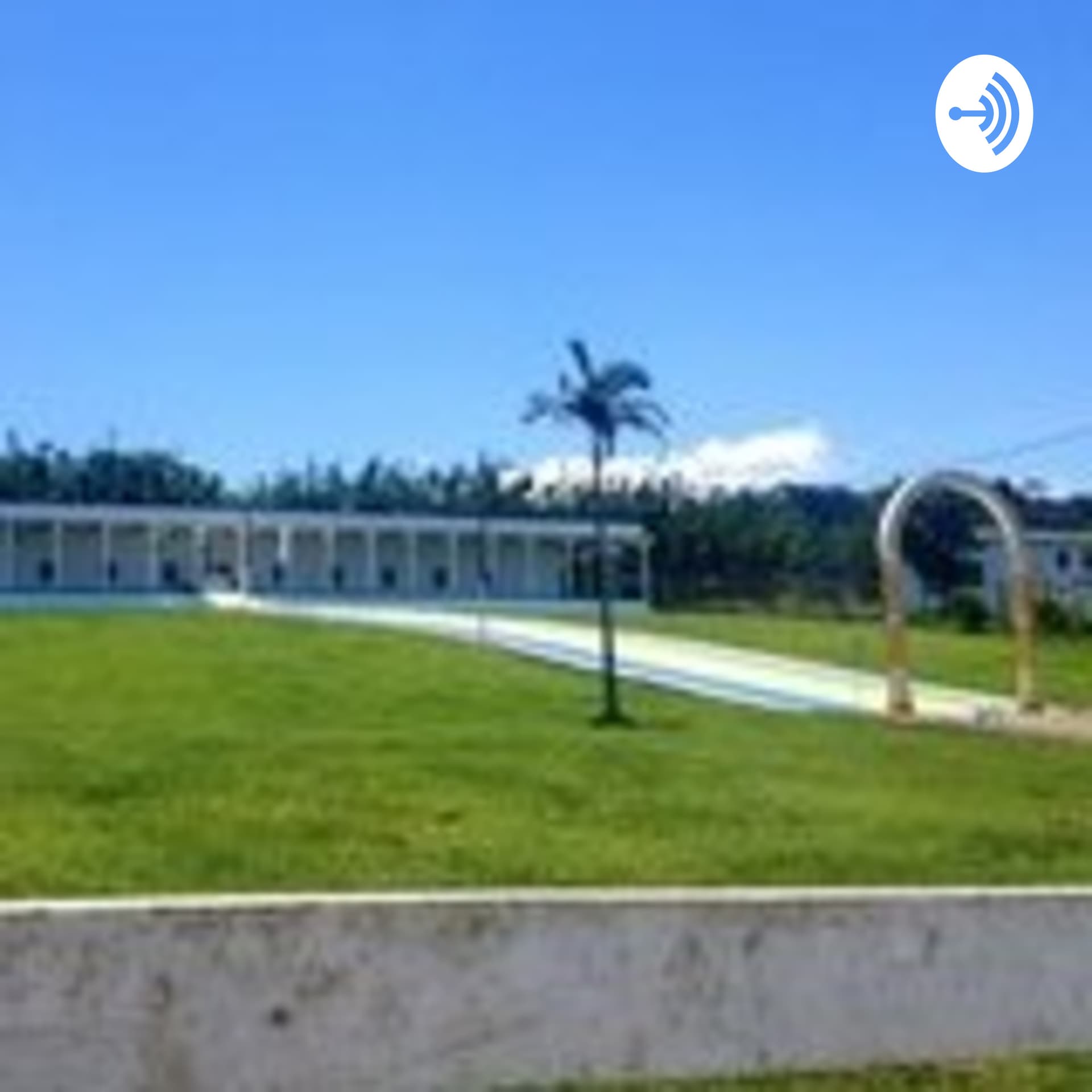 A VIDA RACIONAL. Áudio Book. - Podcasts