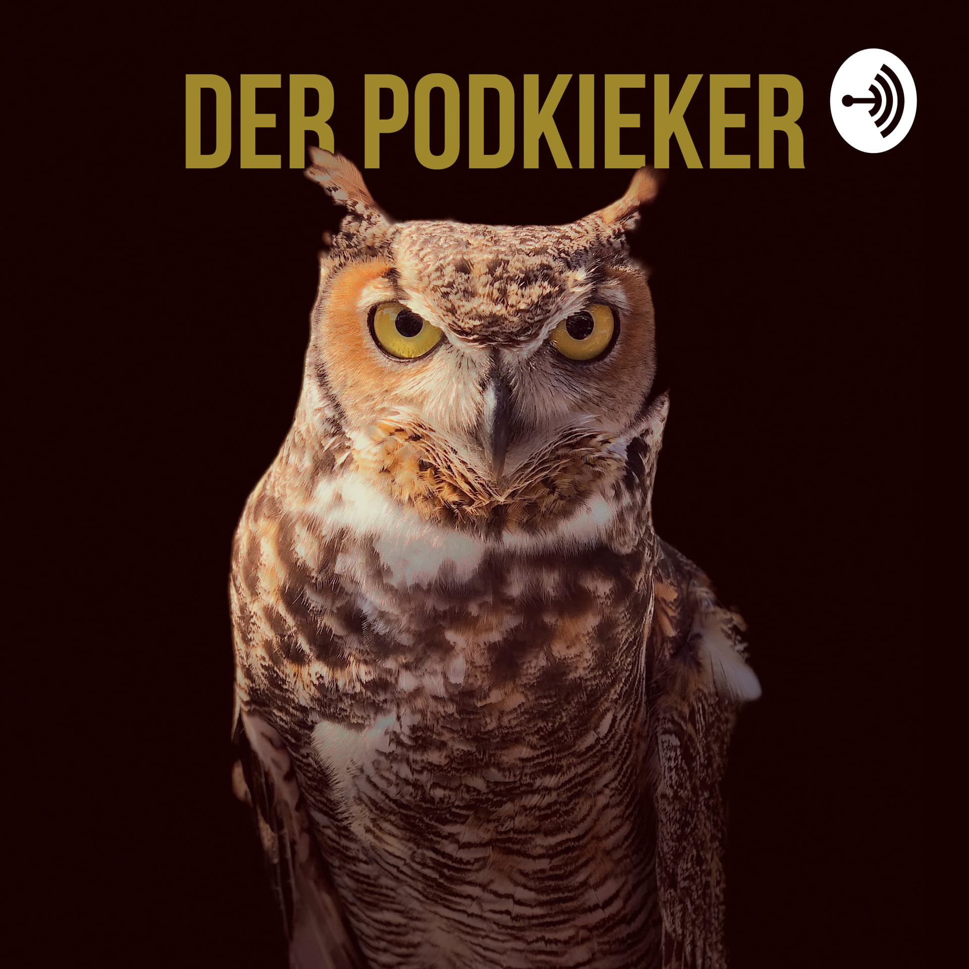 Der Podkieker - Podcasts