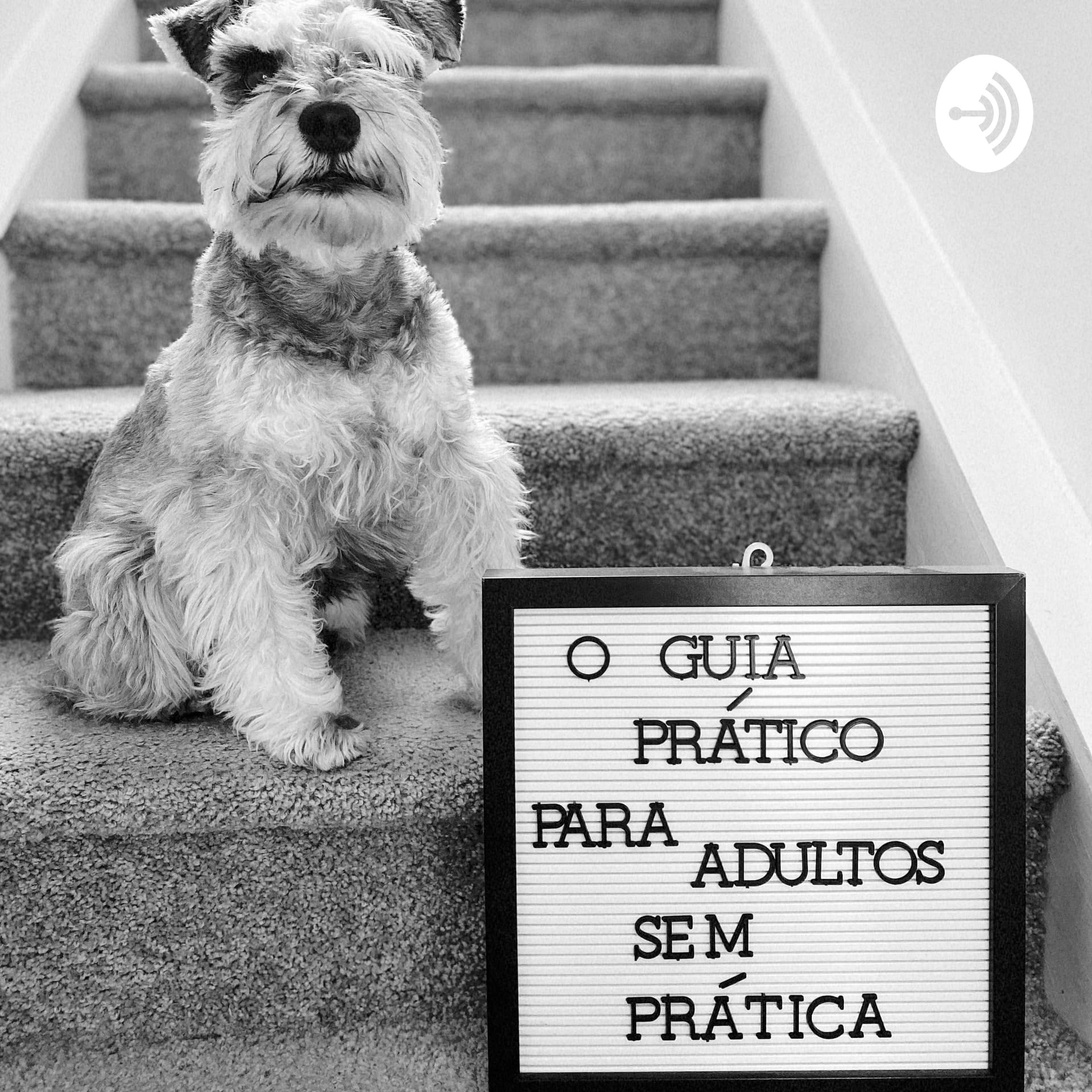 O Guia Prático Para Adultos Sem Prática - Podcasts
