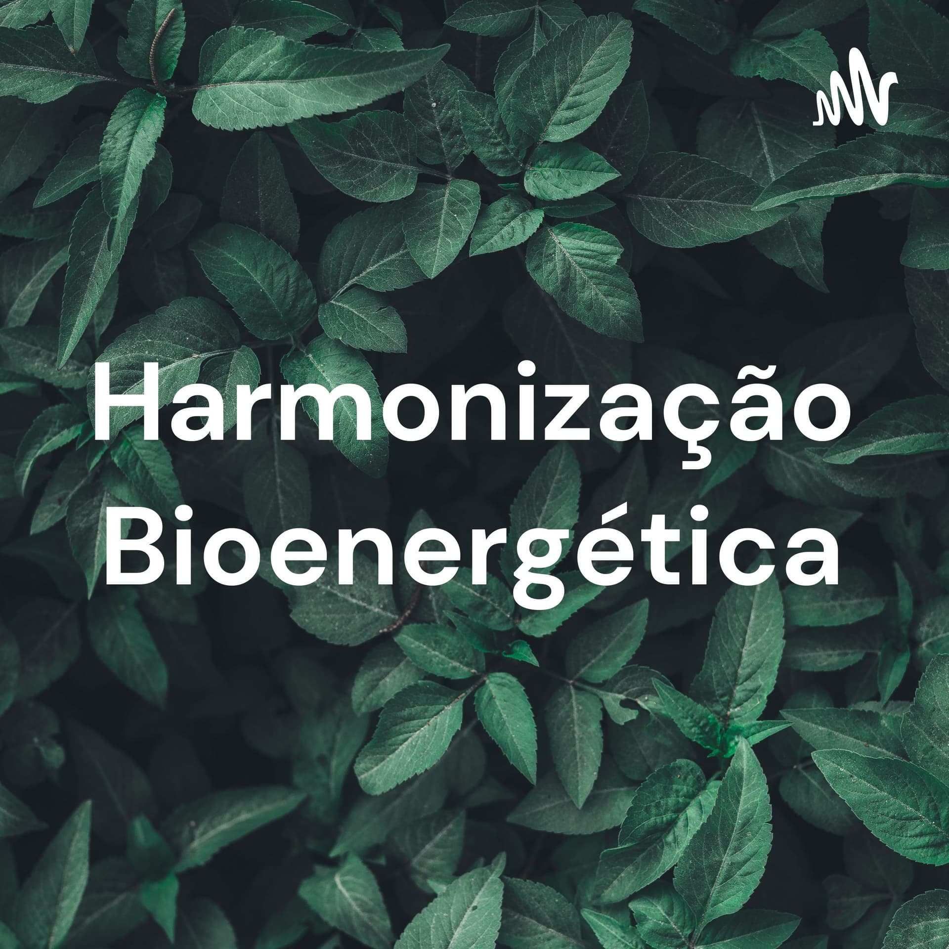 Harmonização Bioenergética - Energia e Autocura.