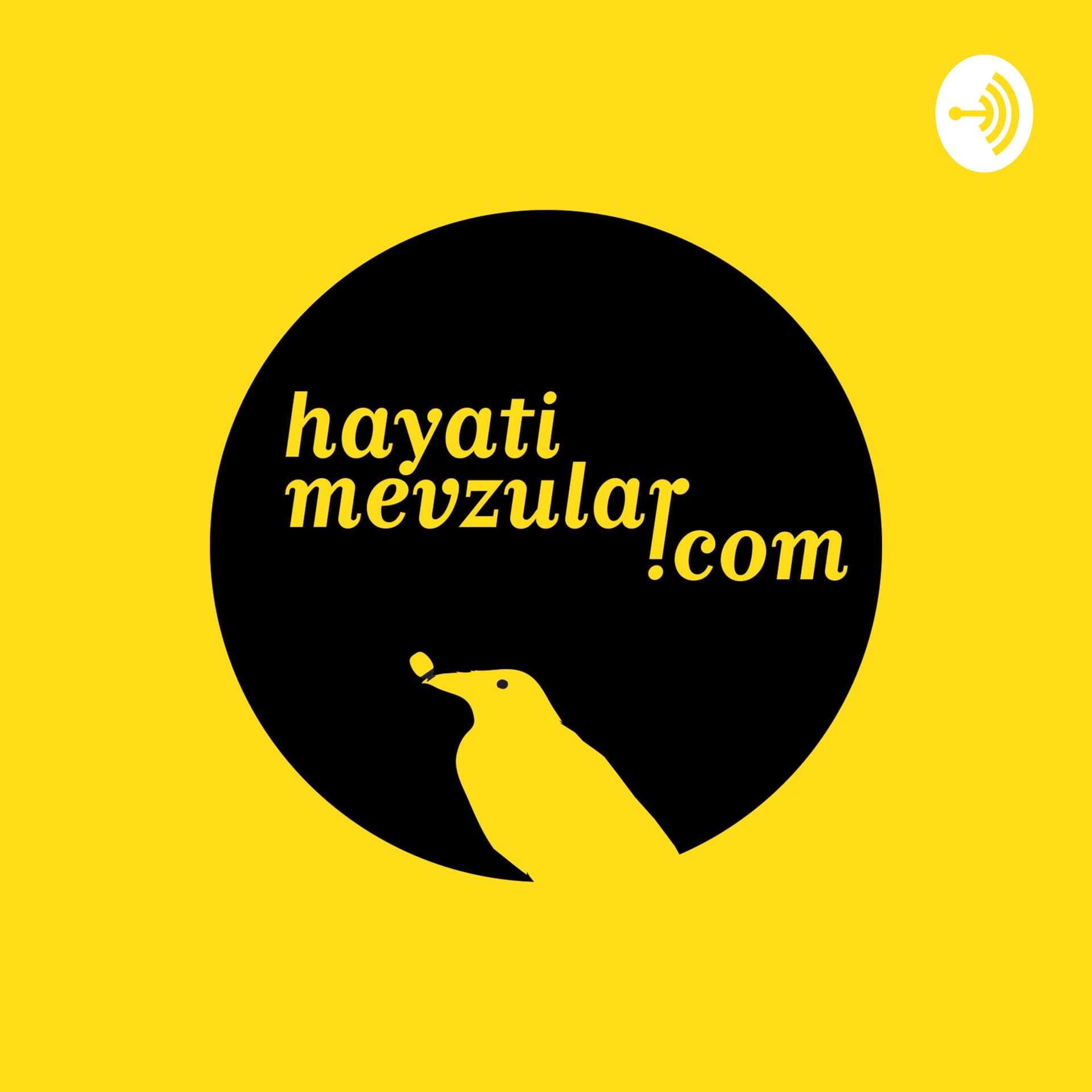 Hayati Mevzular - Podcasts