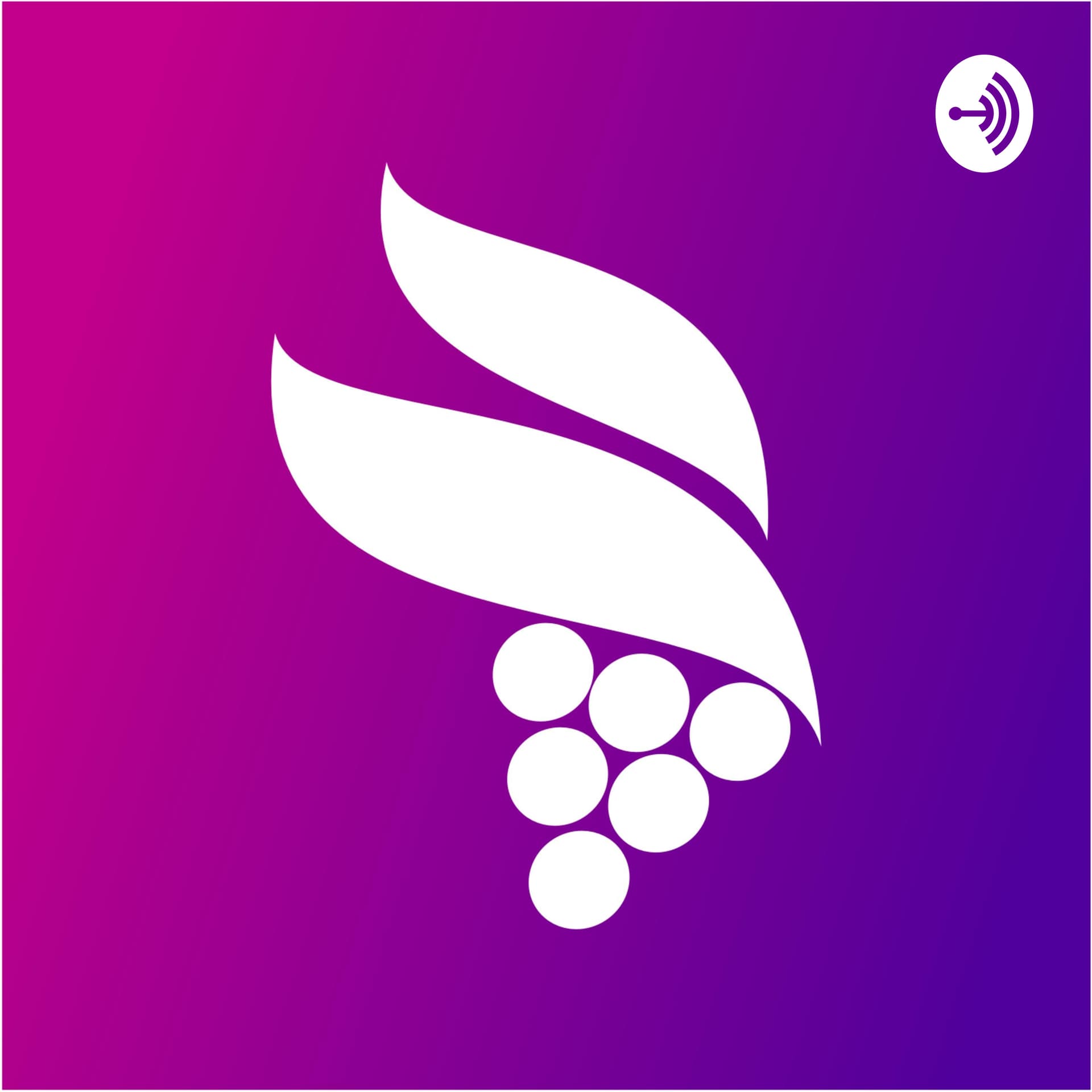 Igreja Vinha - Podcasts