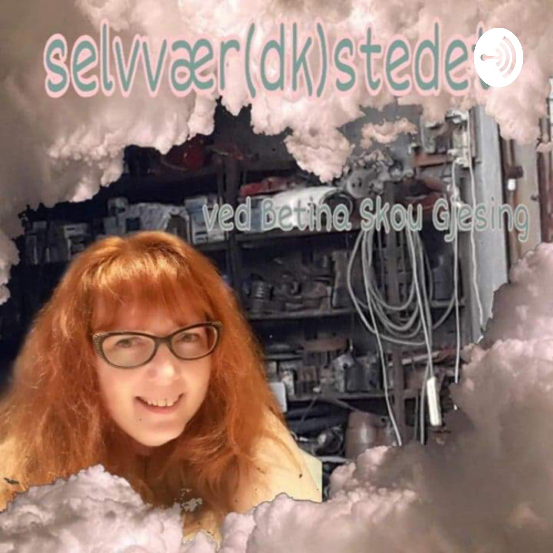 Selvvær(dk)stedet - Podcasts