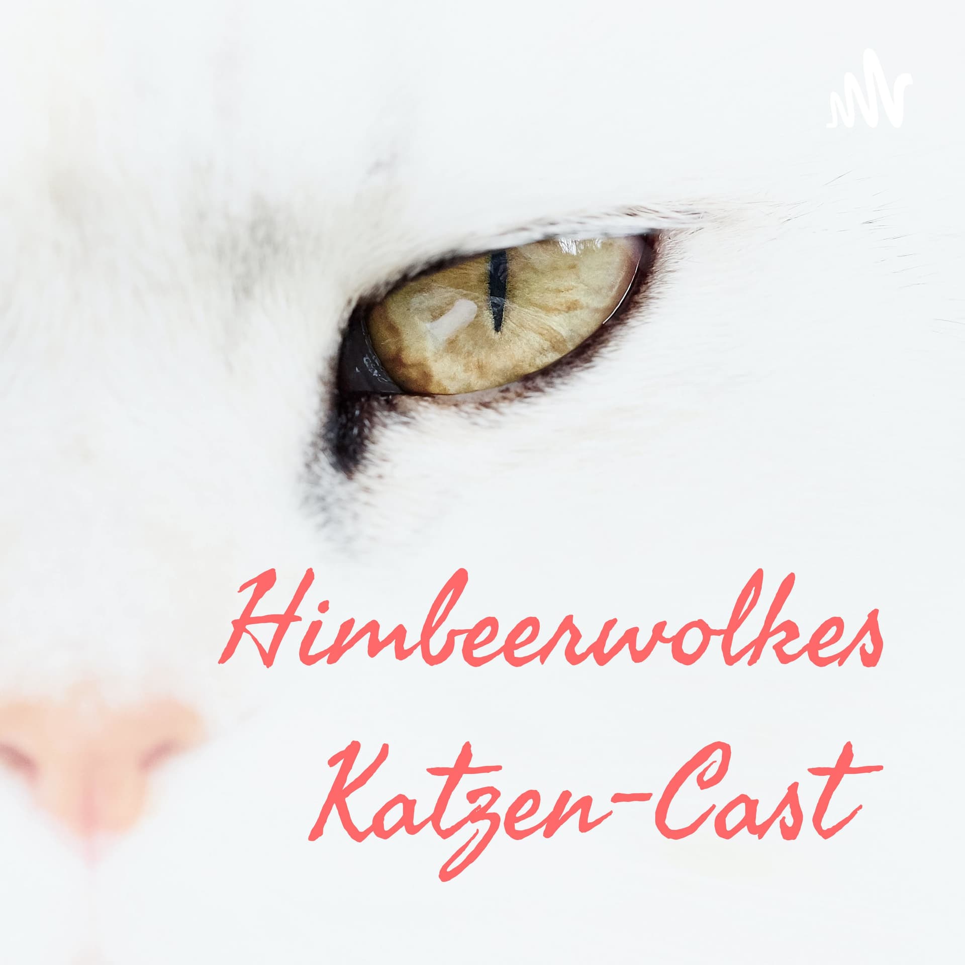 Himbeerwolkes Katzen-Cast (Warrior Cats) 💜 - Podcasts