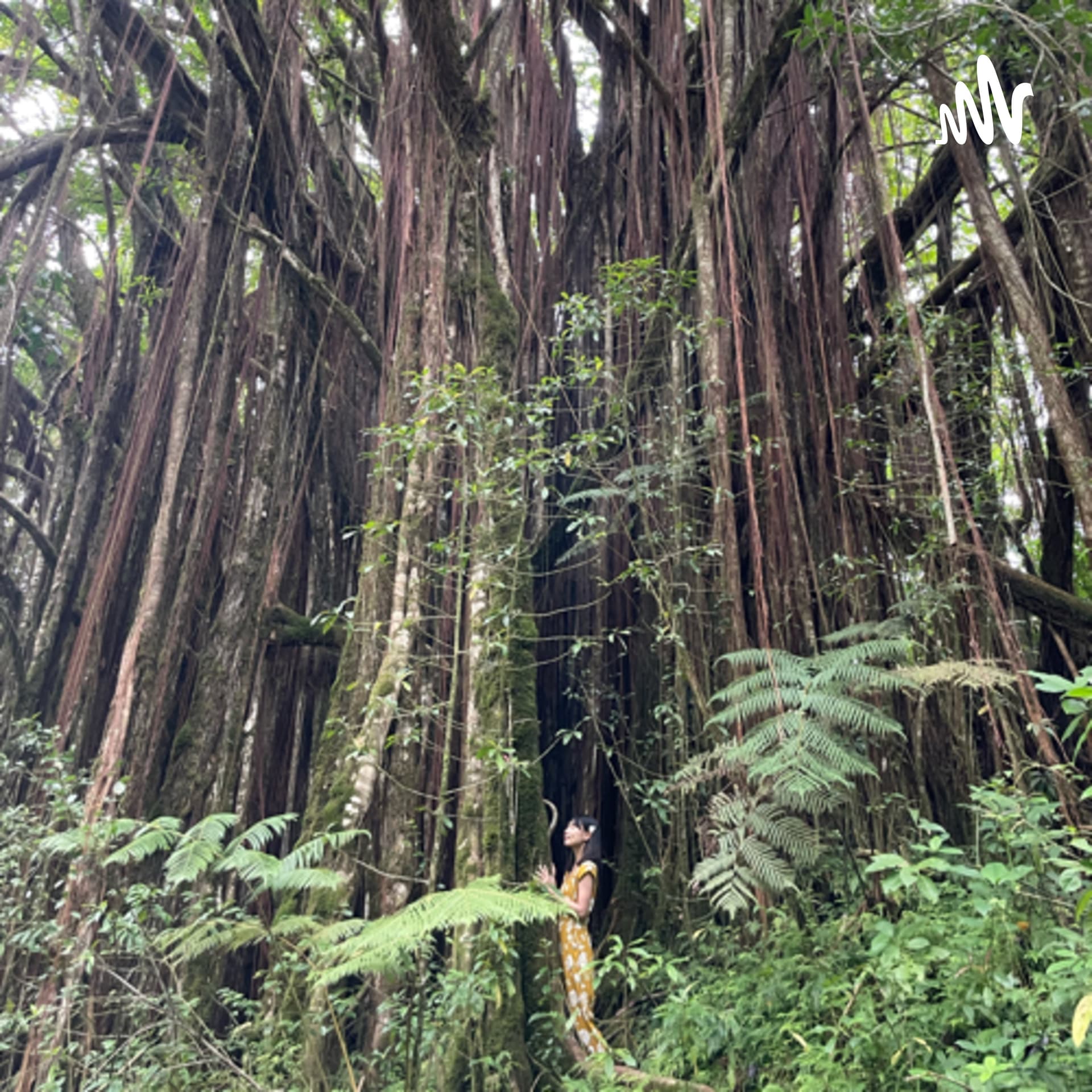 Luana ~michimichi~ - Podcasts