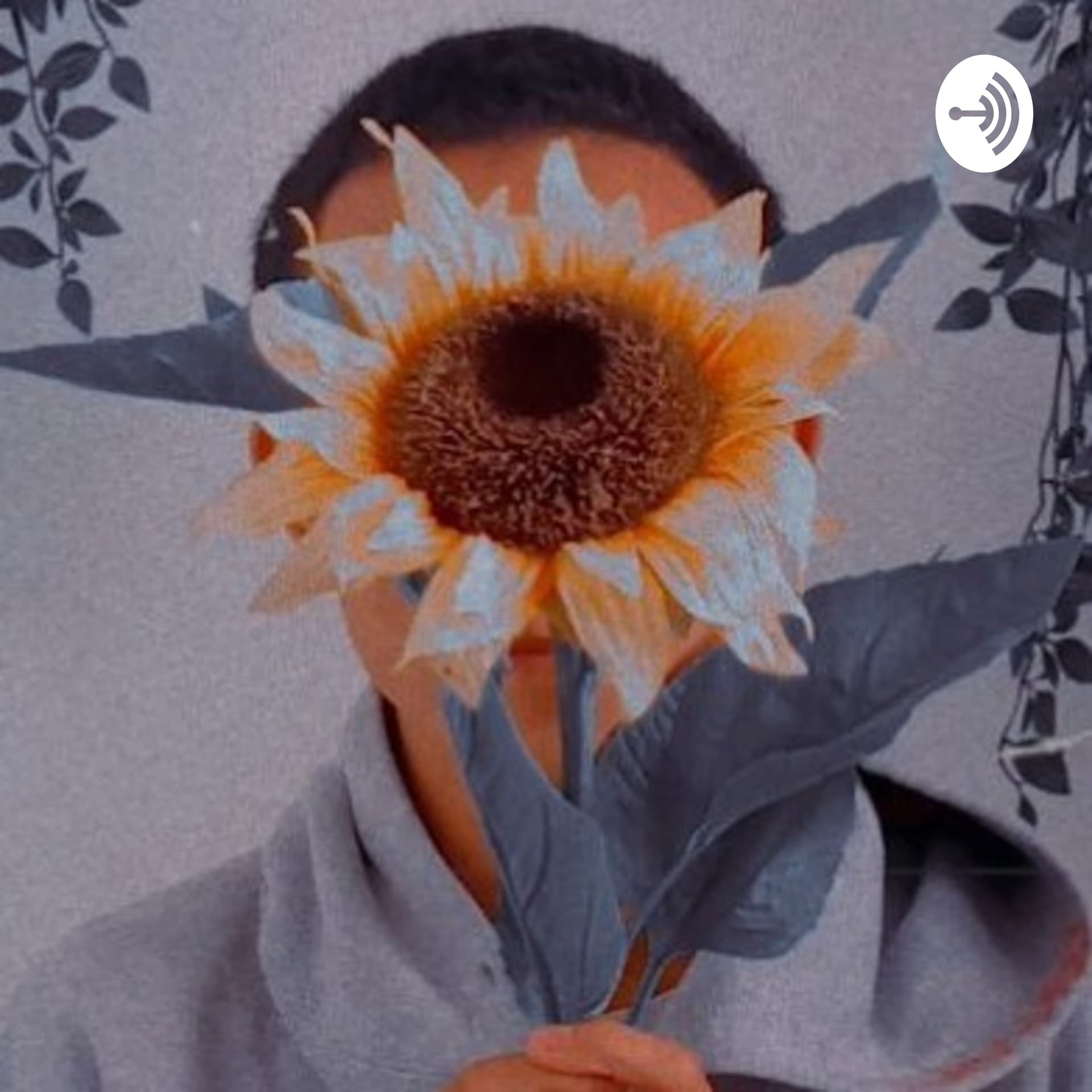 POTKEST - Podcasts