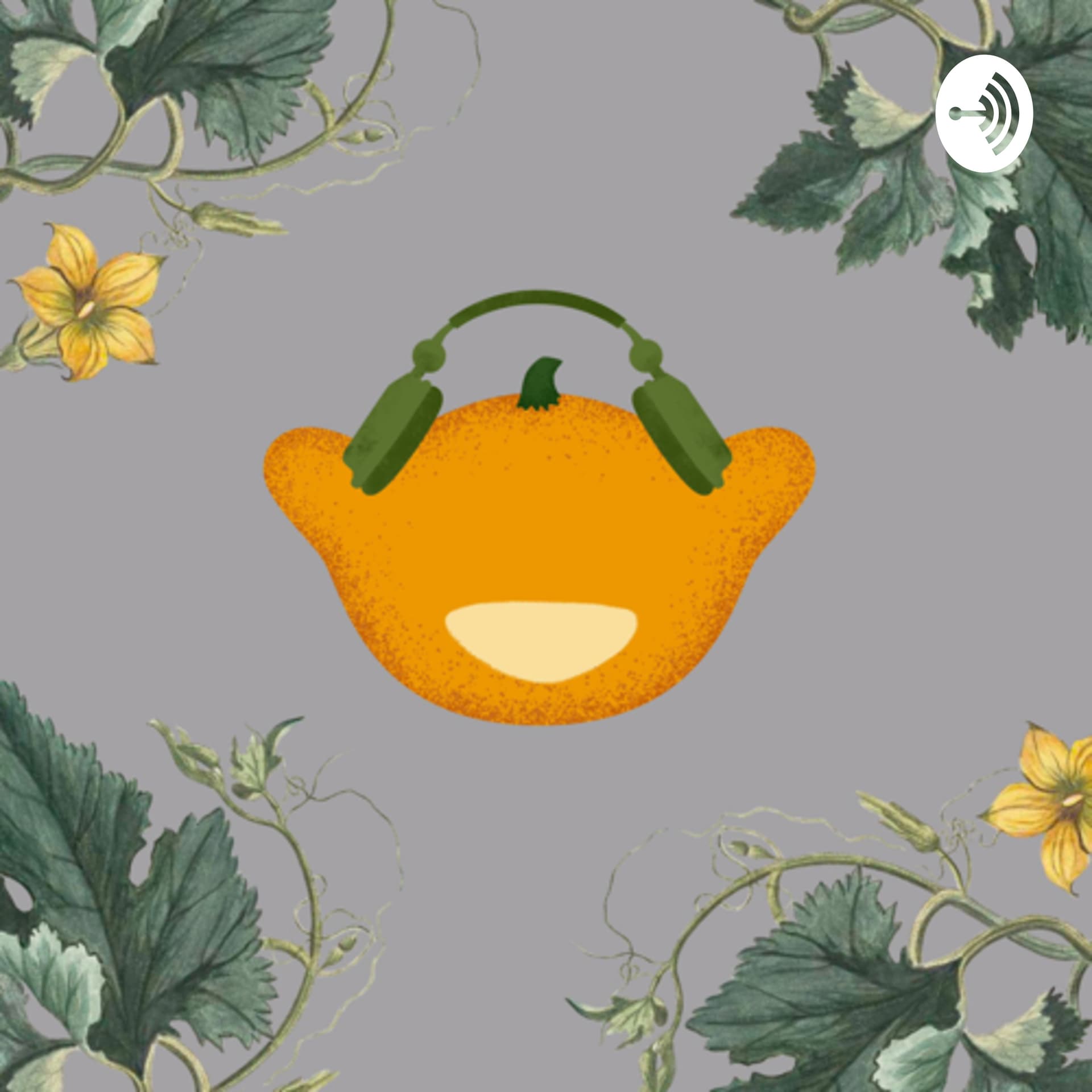 Radivo Patison - Podcasts