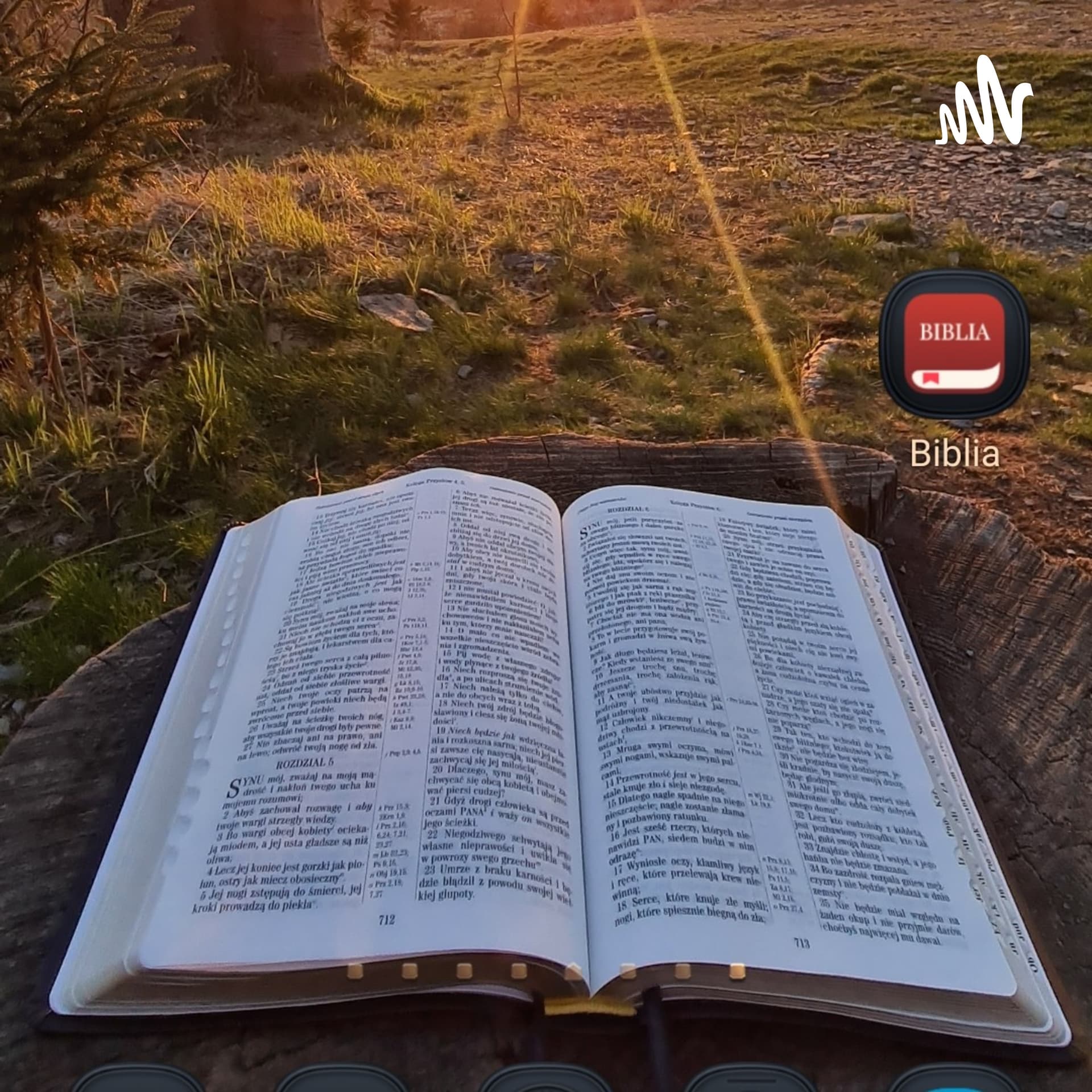 Biblia Audio Podcast - Podcasts